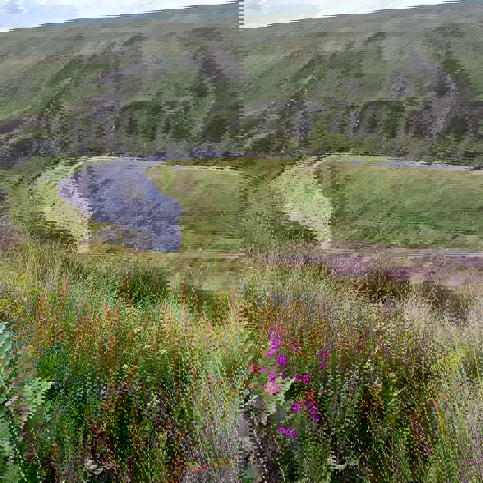Rowan Looking Down On Iron Smelting Site