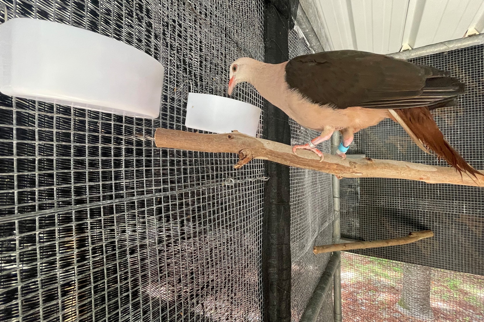 Umbraco.Cms.Core.Models.MediaWithCrops`1[Website.Models.Image]