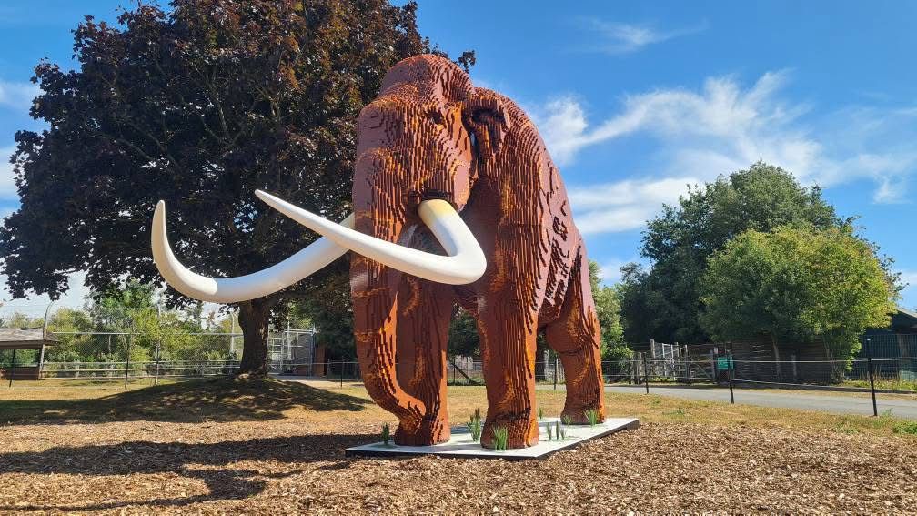 Umbraco.Cms.Core.Models.MediaWithCrops`1[Website.Models.Image]