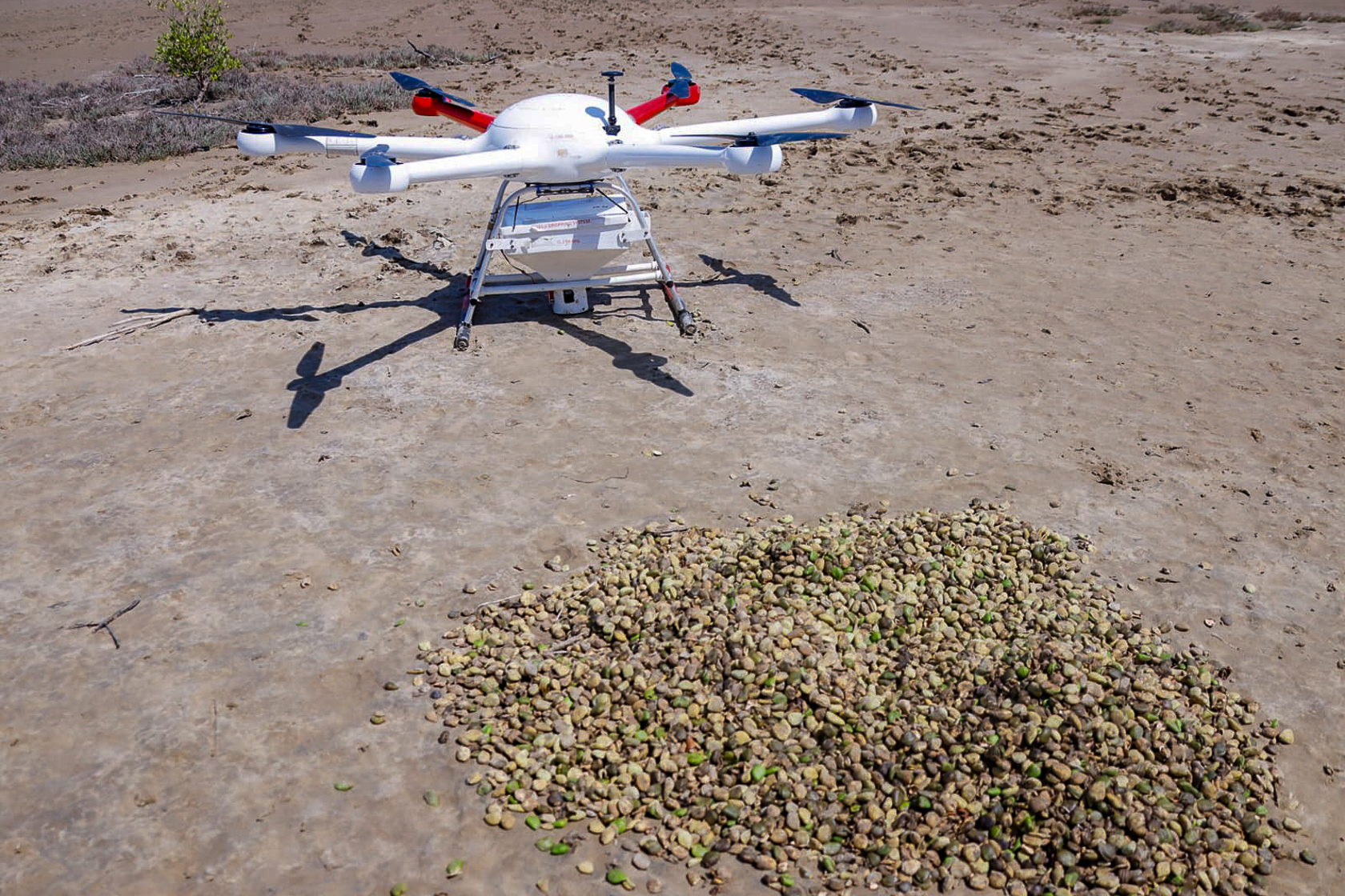 Tsito Mangrove Planting Drones3 (1)