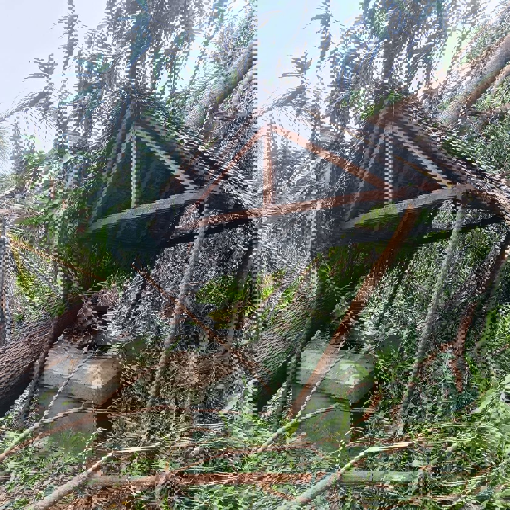 202602 BAL Cyclone Camp (7)