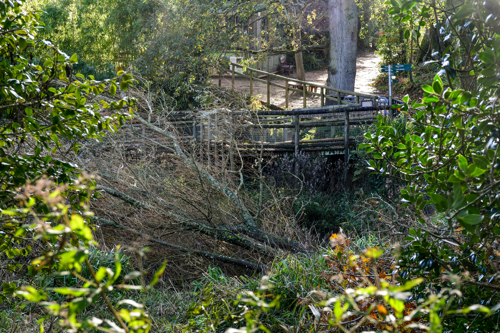 Microsoftteams Image (1)