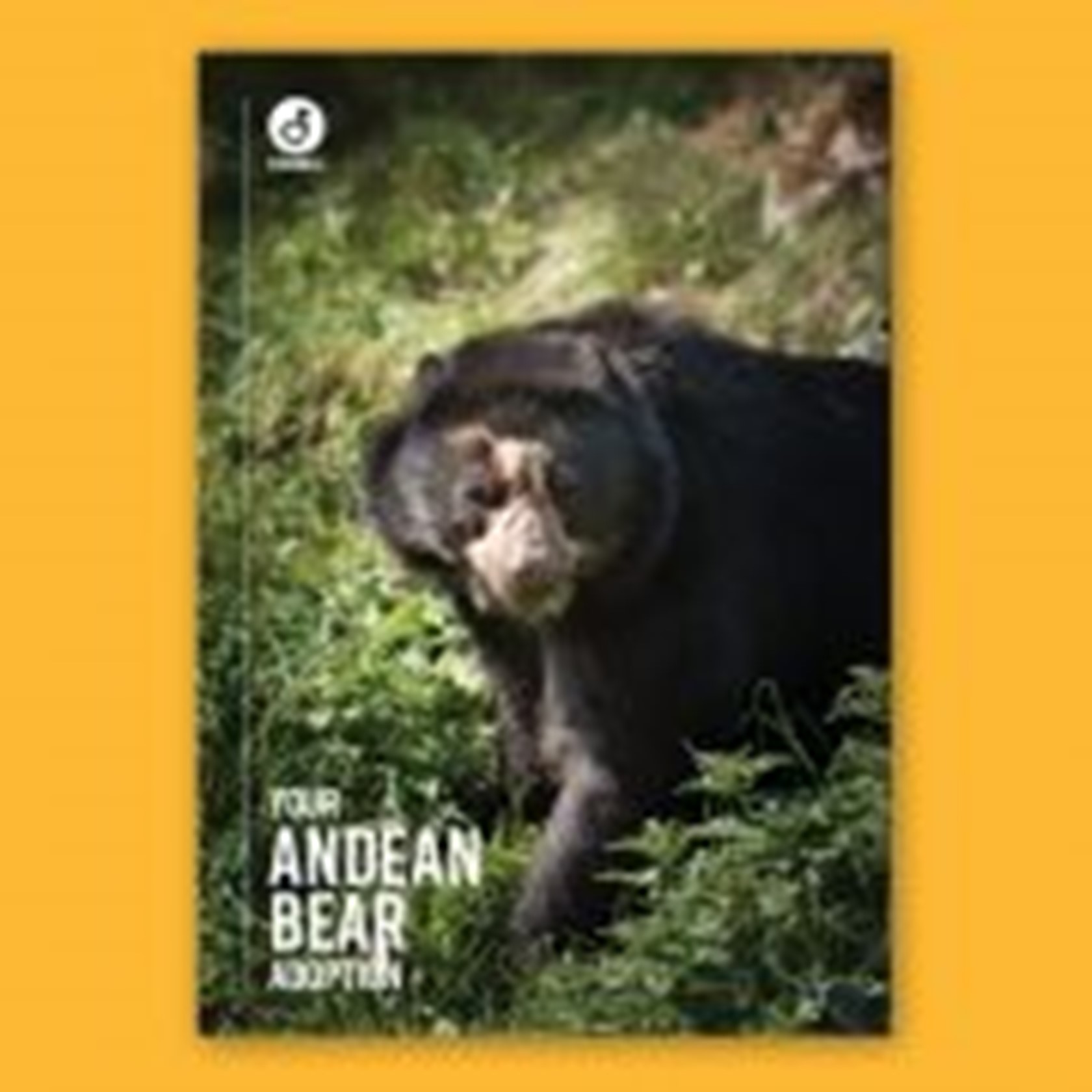 Digital Adoption - Andean bears