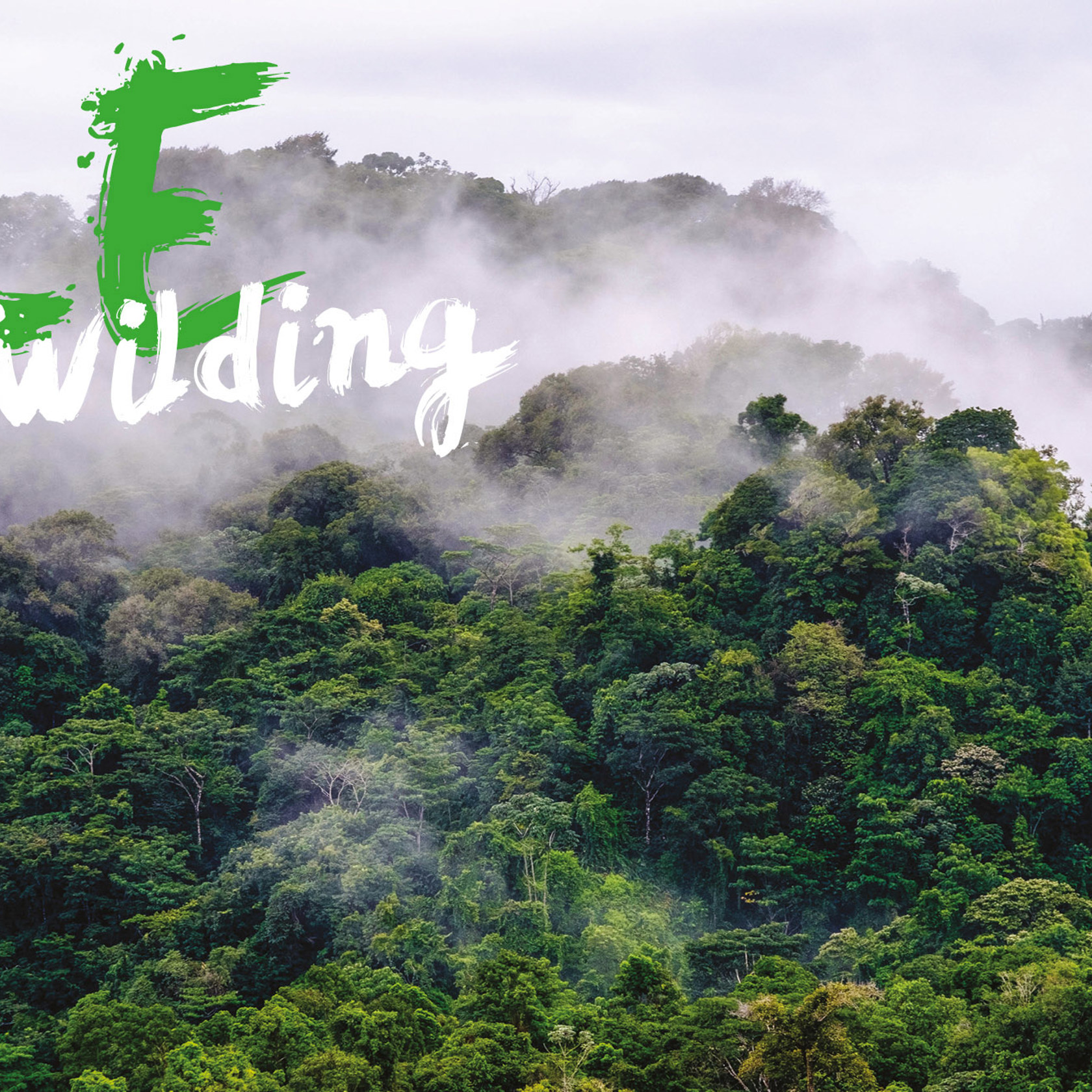 Rewilding