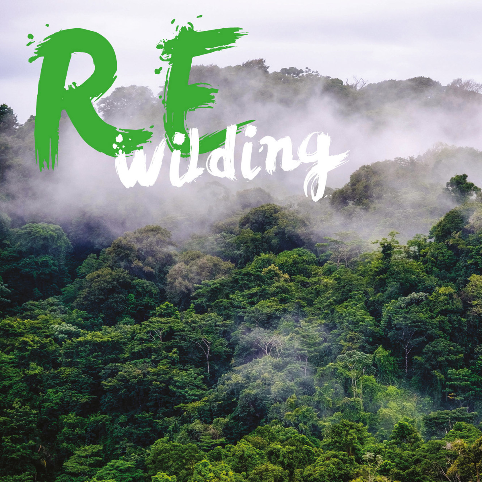 Rewilding