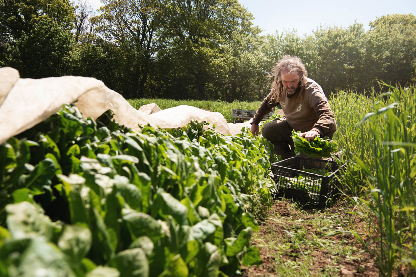 Organic Farm 2021 19