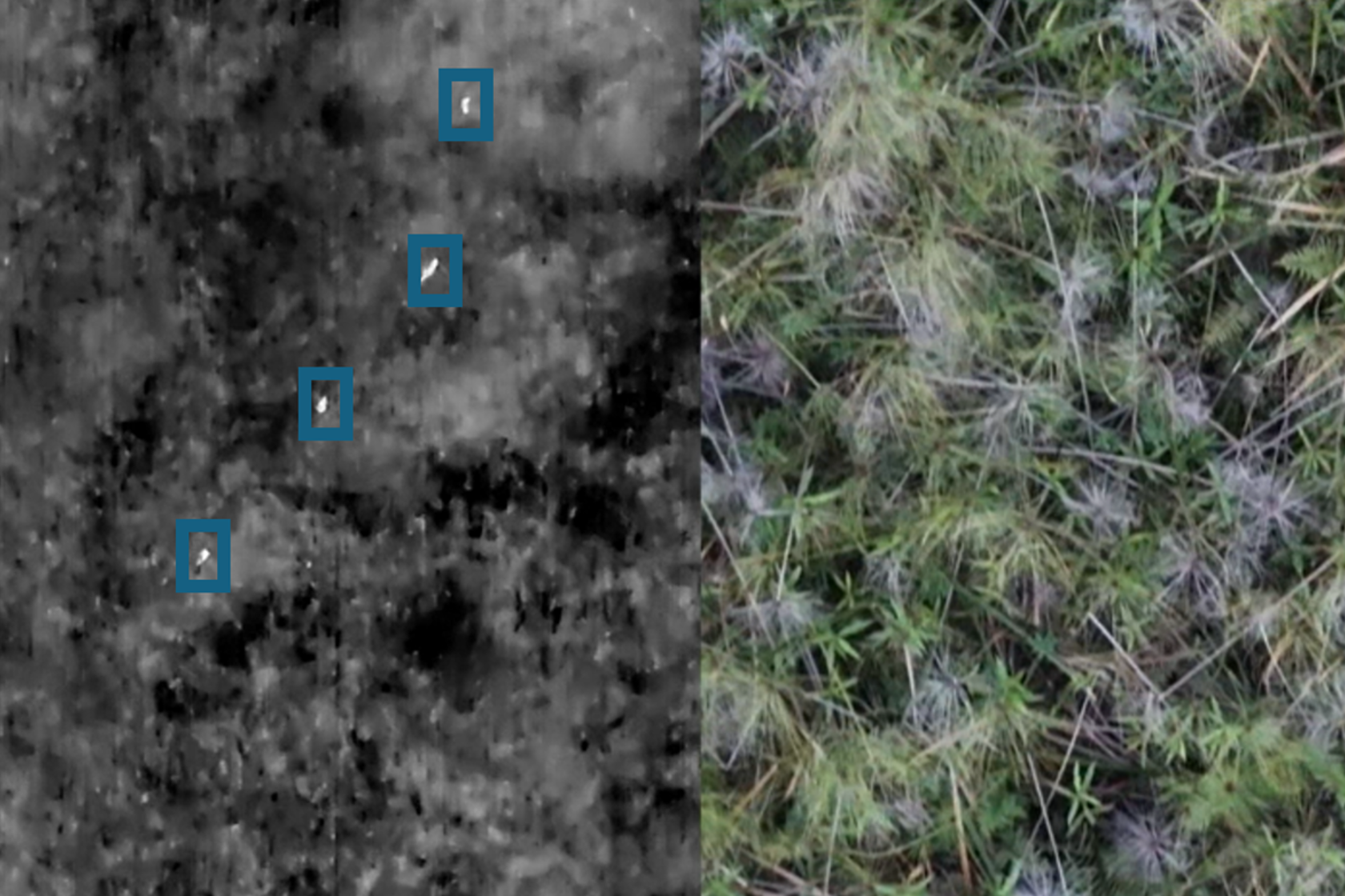 Side To Side Thermal RGB Comparison