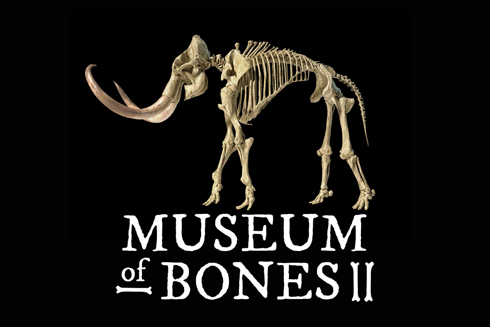 Museum Of Bones 2023 Website Event Image 2000 X 1333