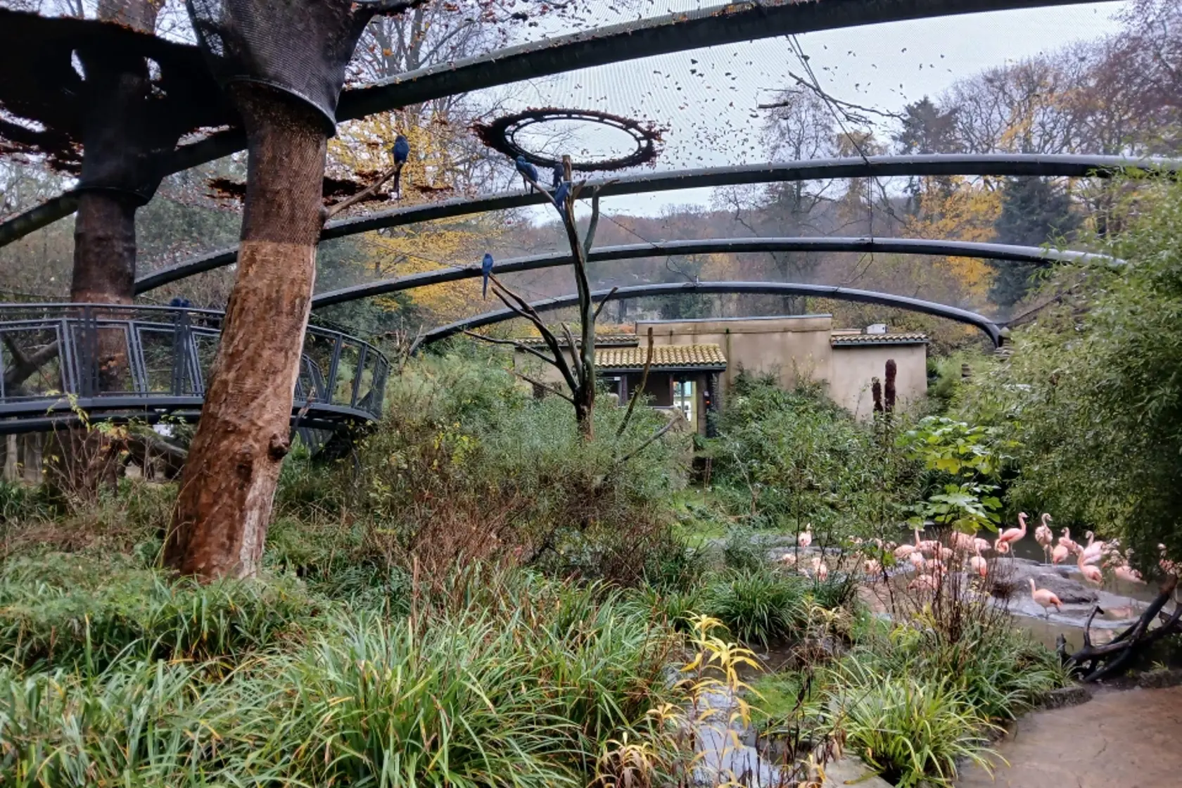 Aralandia Aviary