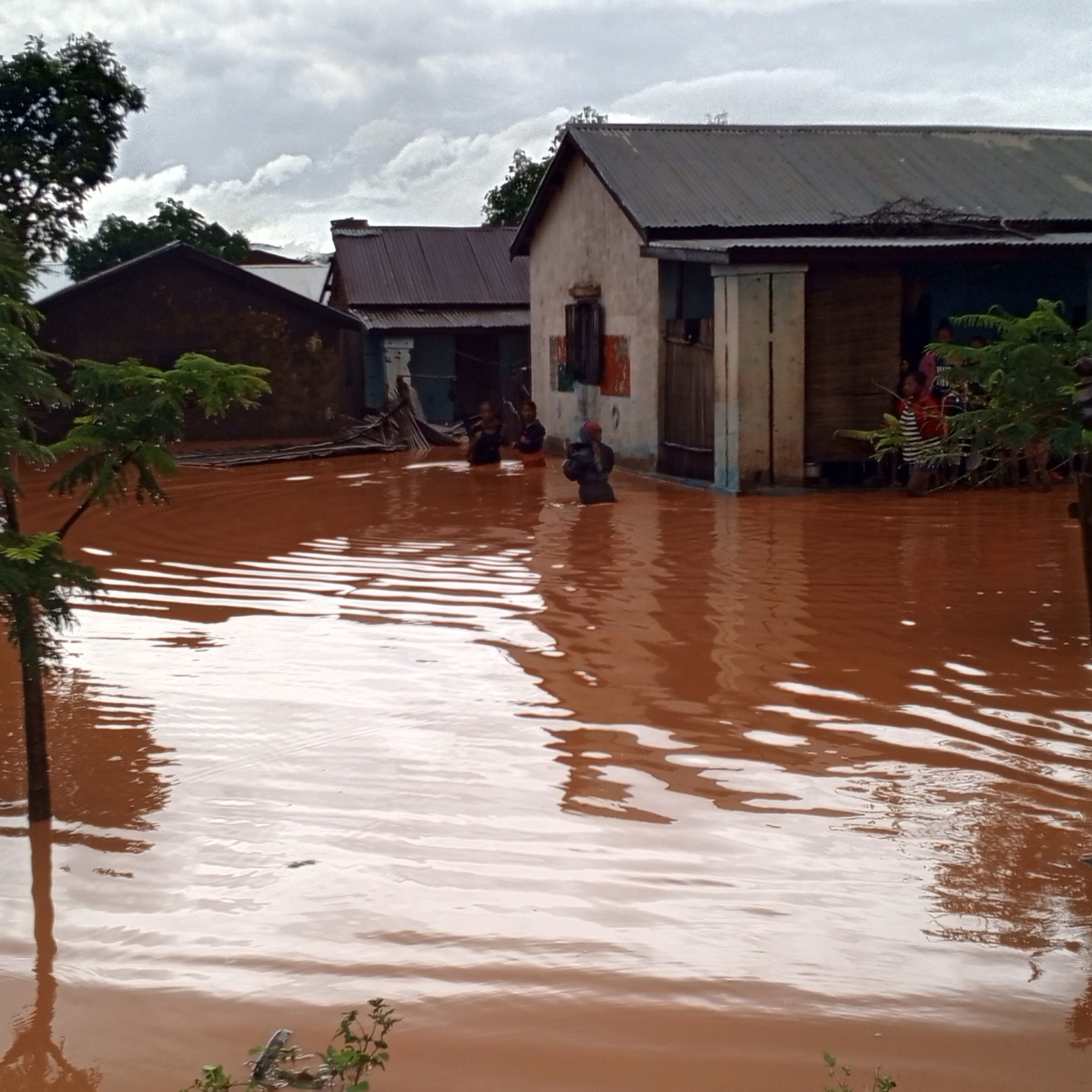 IMG 20260211 090239 519