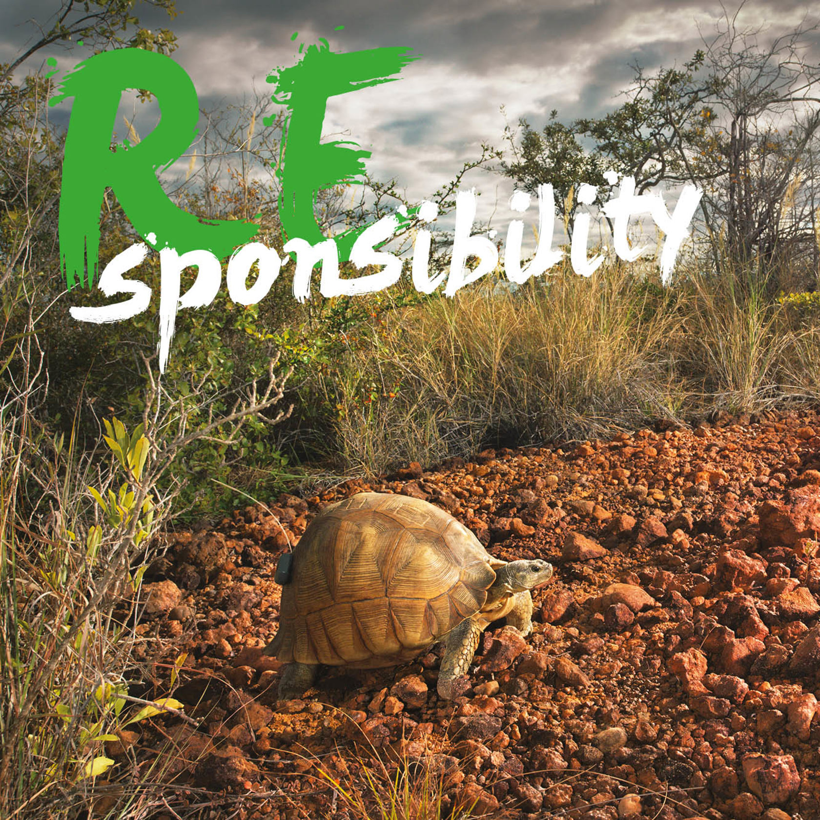 Responsibility