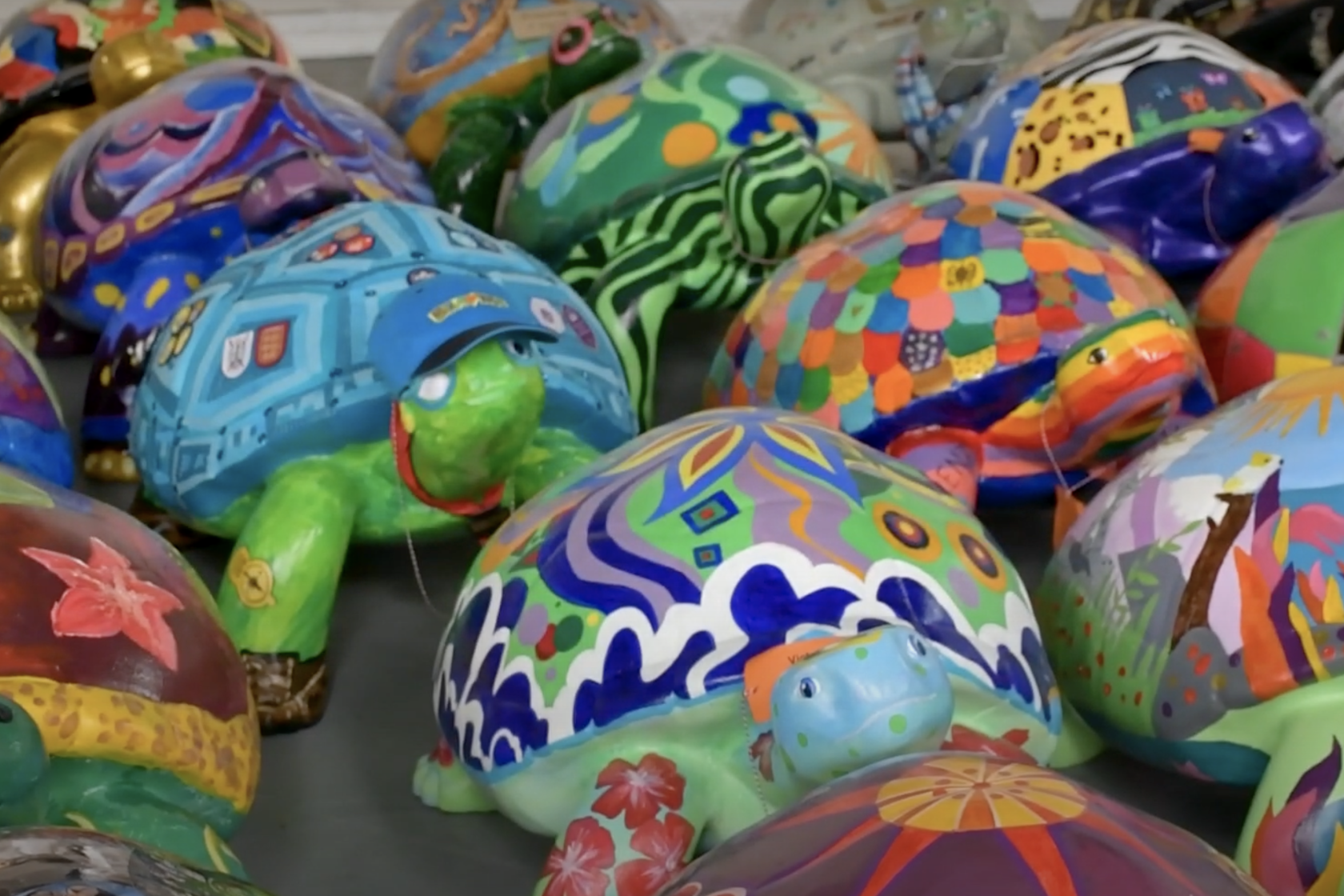 YoungTortoises