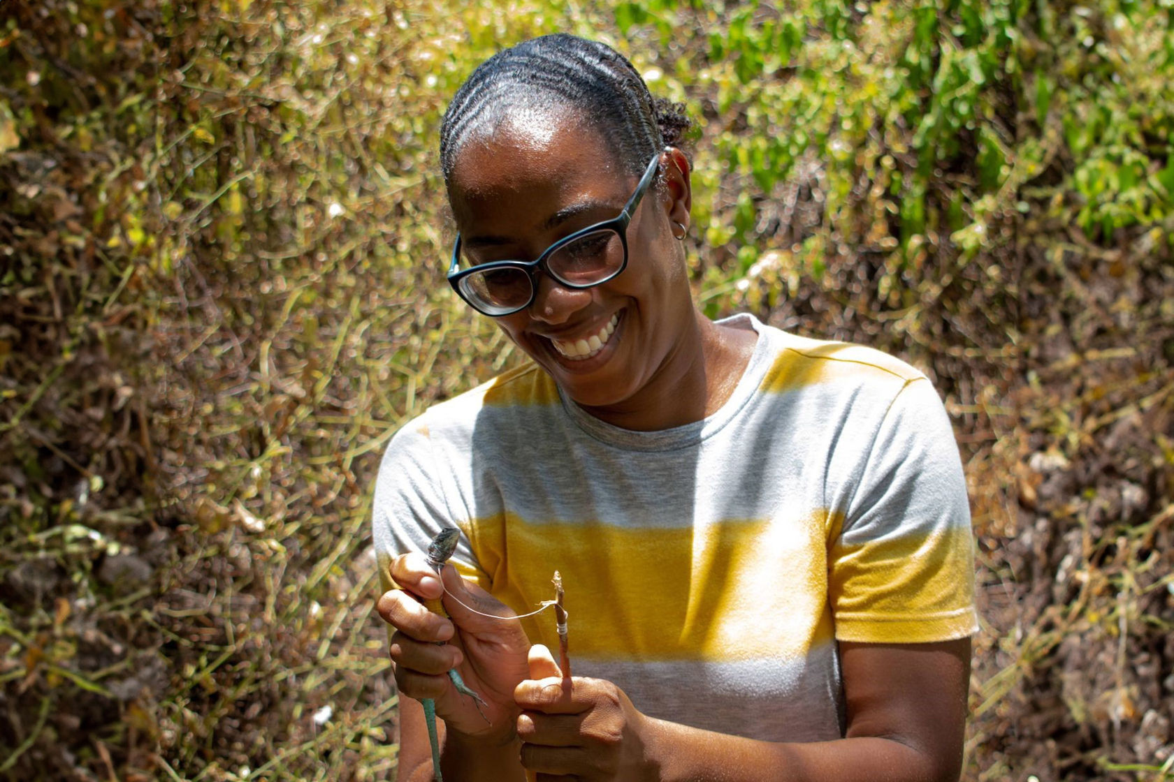 WT Survey. Photo C. Kengie John Copy