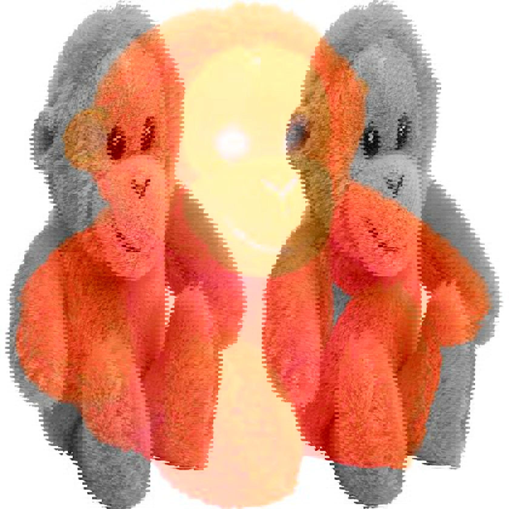 Wild Beans Orangutan