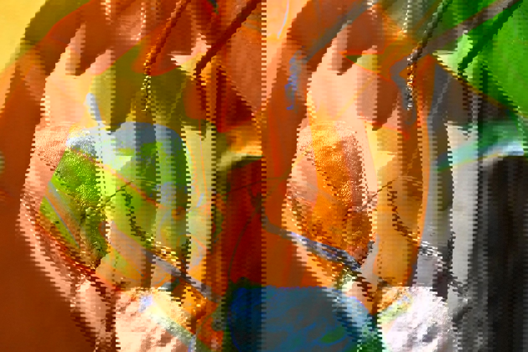 Umbraco.Cms.Core.Models.MediaWithCrops`1[Website.Models.Image]