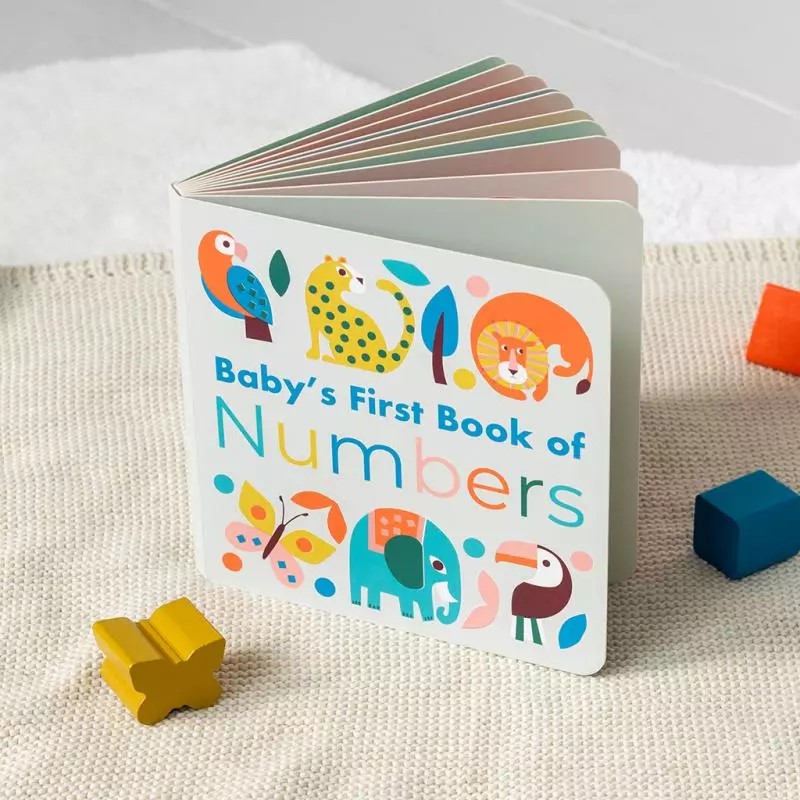 29621 Wild Wonders Baby First Book Numbers Lifestyle1024
