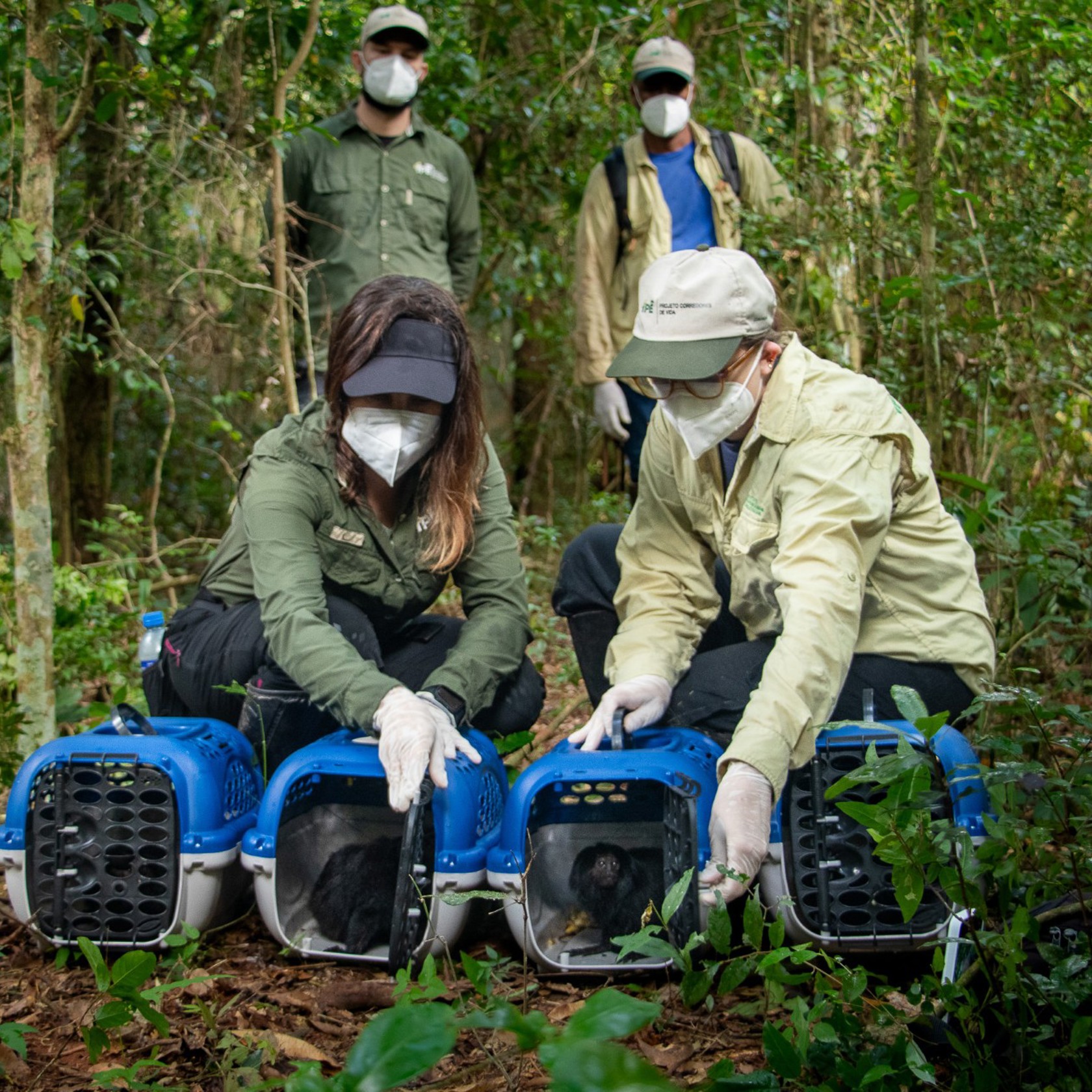 Release2 Duda Menegassi