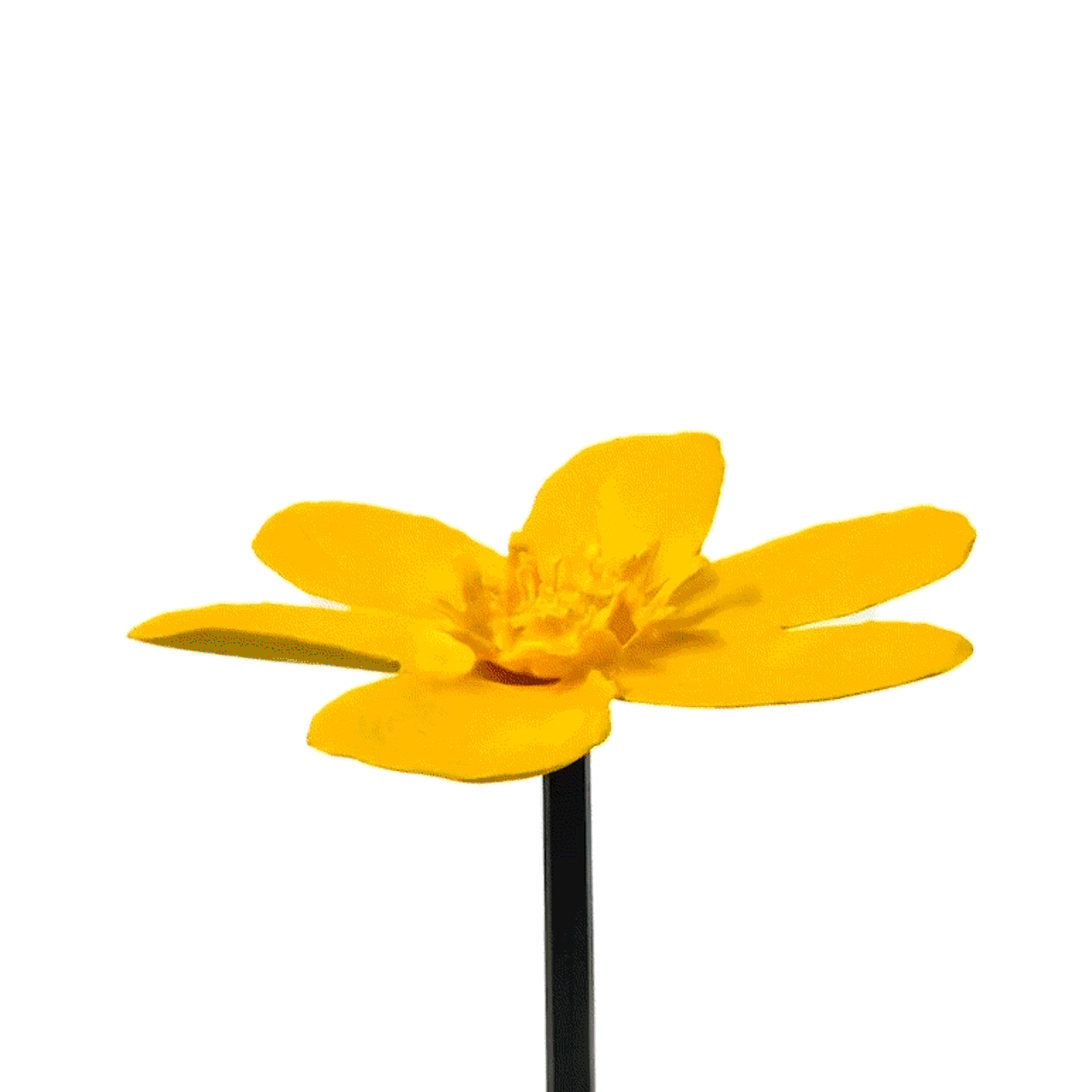 Flowers (1)