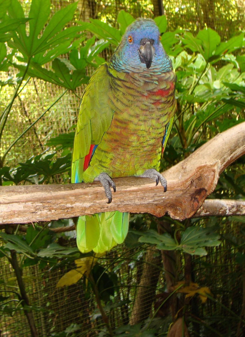 Umbraco.Cms.Core.Models.MediaWithCrops`1[Website.Models.Image]