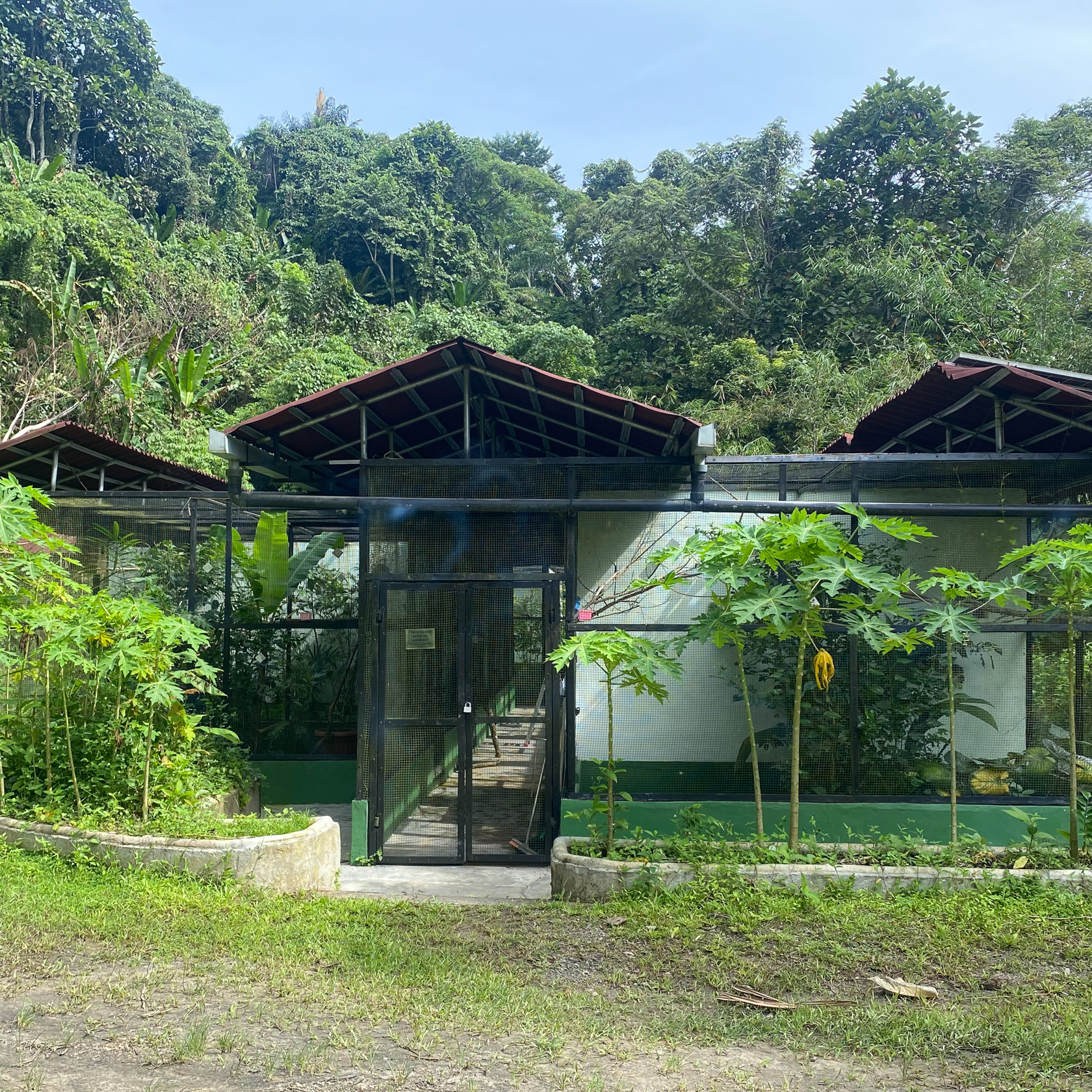 Sam Sumatra Dec 2024 Front Avaries
