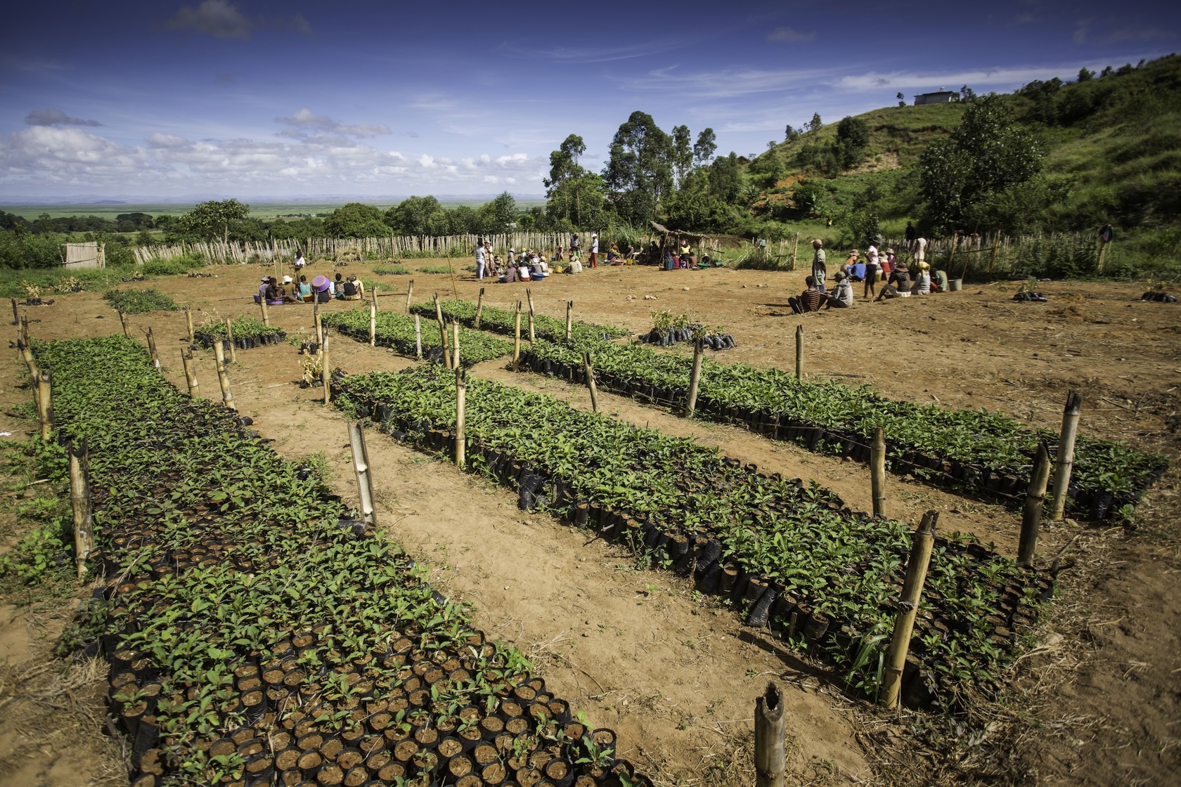 Umbraco.Cms.Core.Models.MediaWithCrops`1[Website.Models.Image]