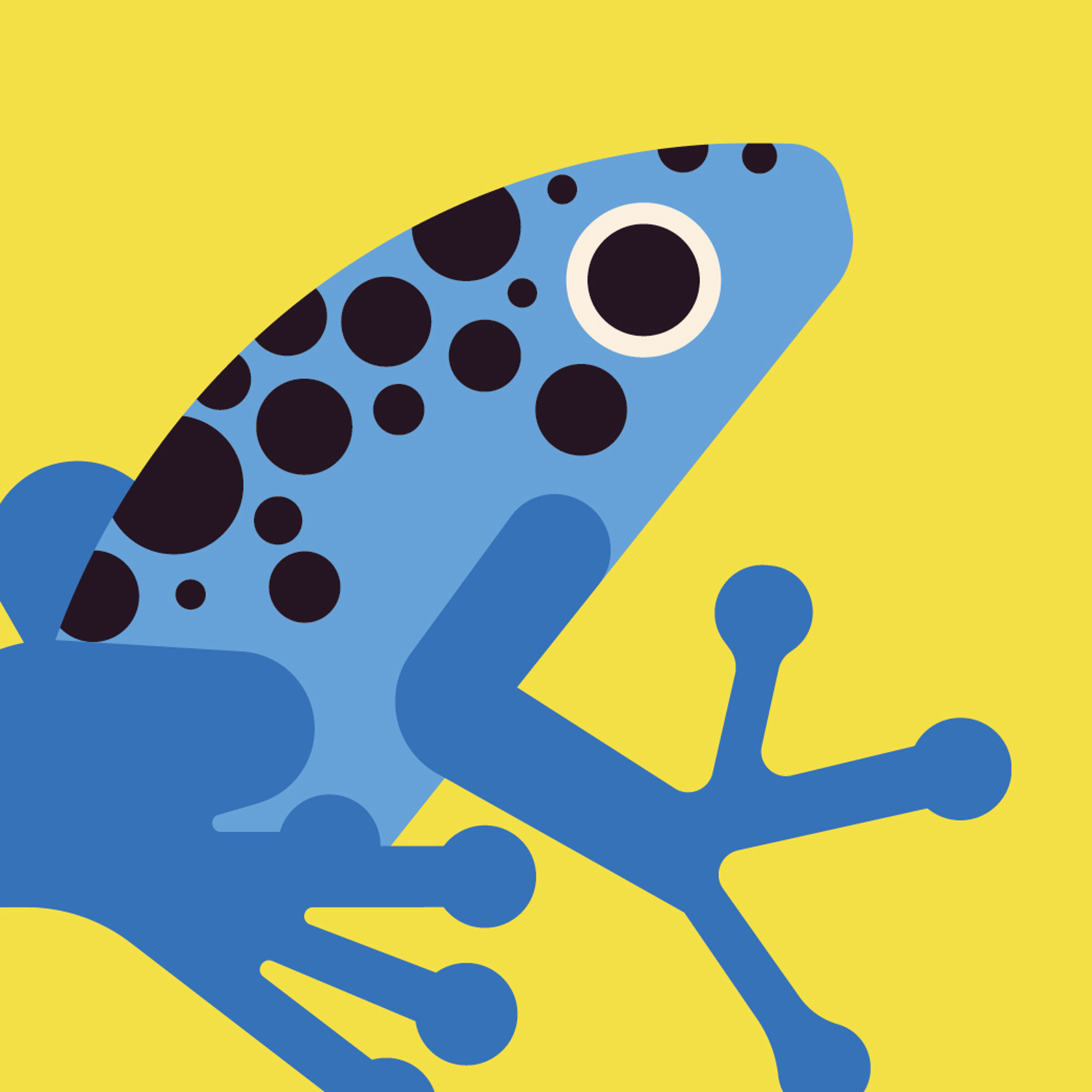 Frog32