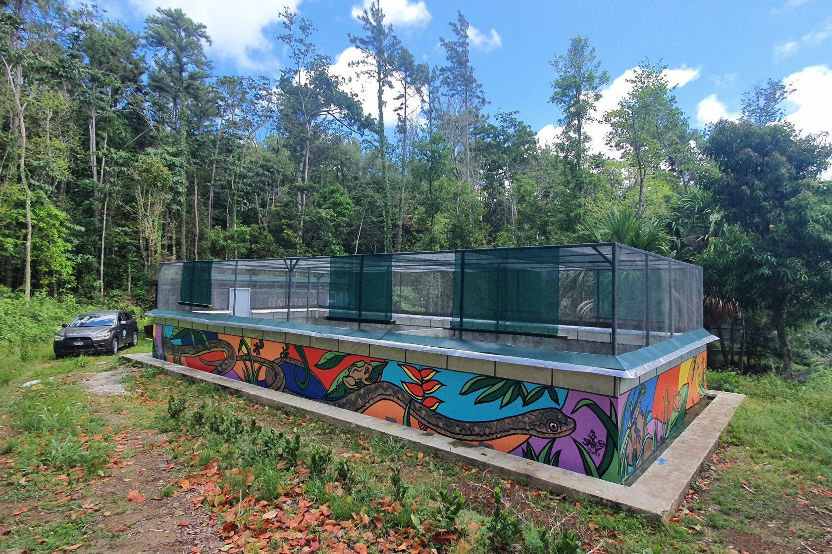 Saint Lucia Racer Breeding Centre