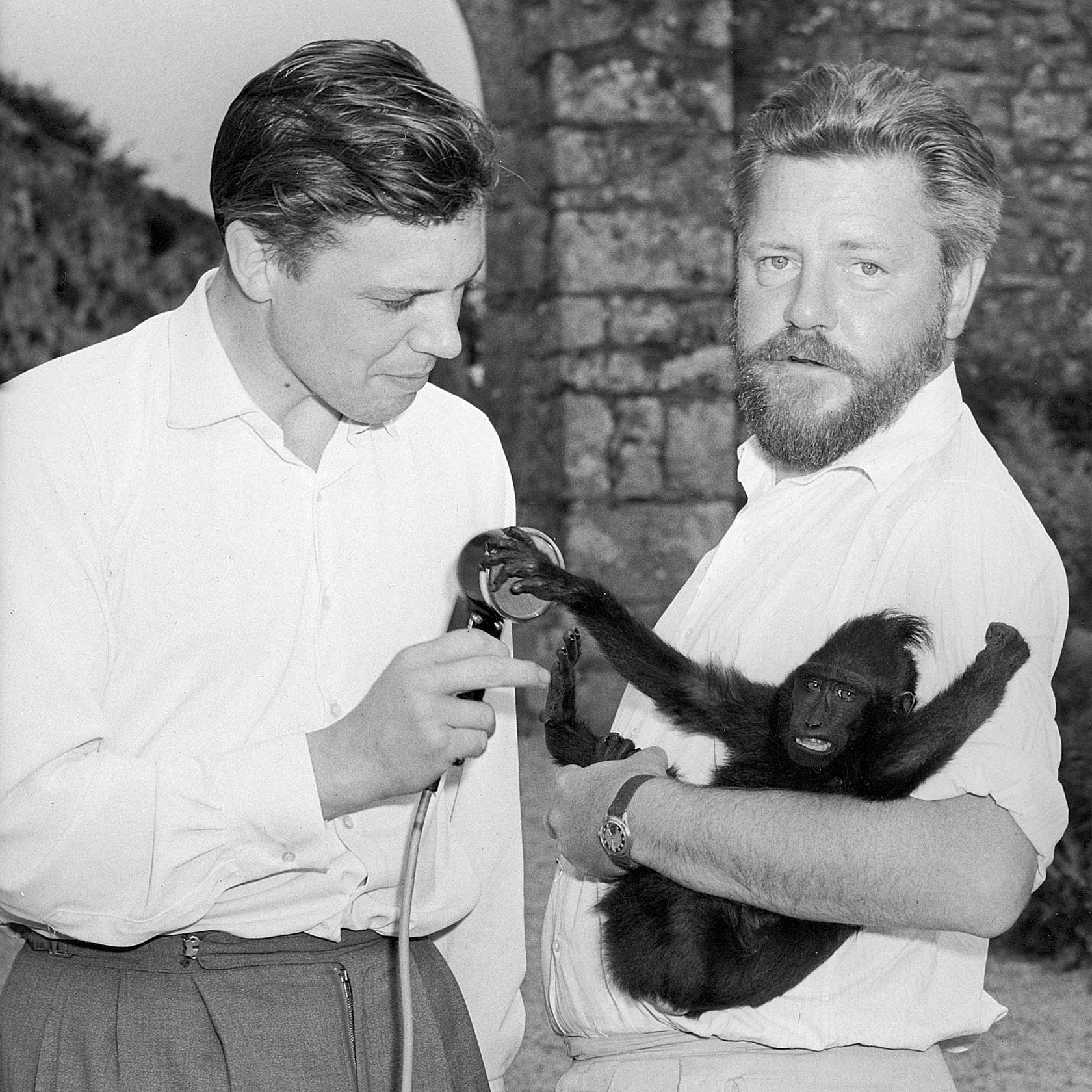31. Sir David Attenborough And Gerald Durrell With A Young Sulawesi Crested Black Macaque. David Was Interviewing GD For Radio Programme