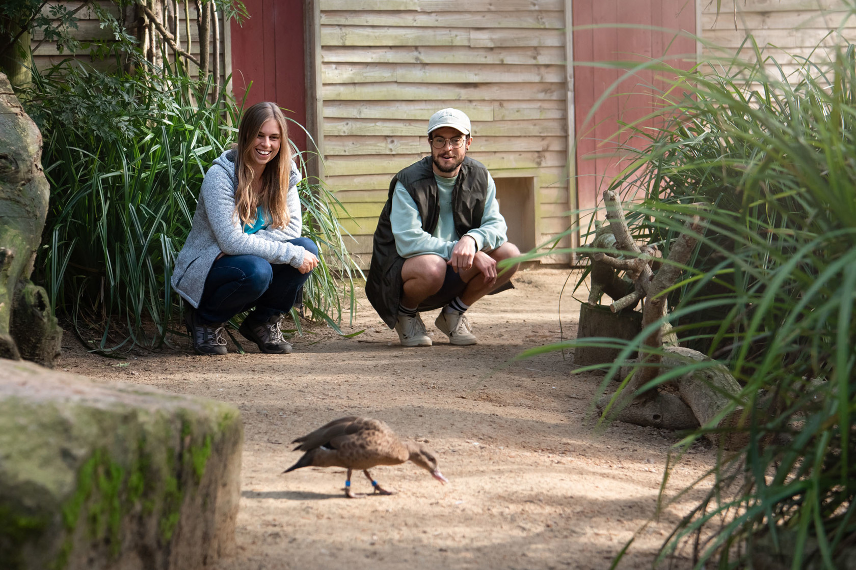Events at Durrell | Durrell