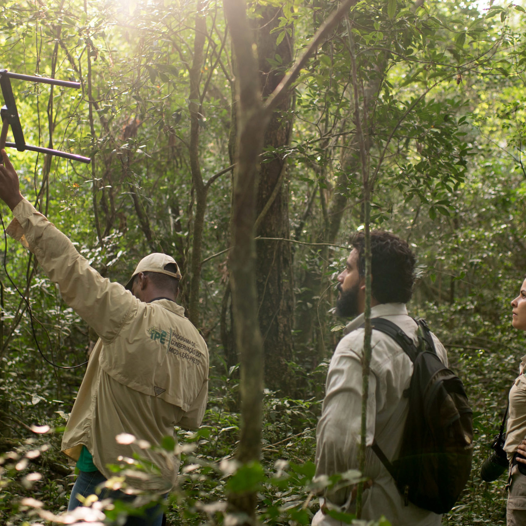 Rezende Blackliontamarin Brazil HRS Fieldwork Image Credit Katie Garrett (12)
