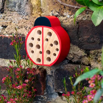 30288 Ladybird Hotel Lifestyle