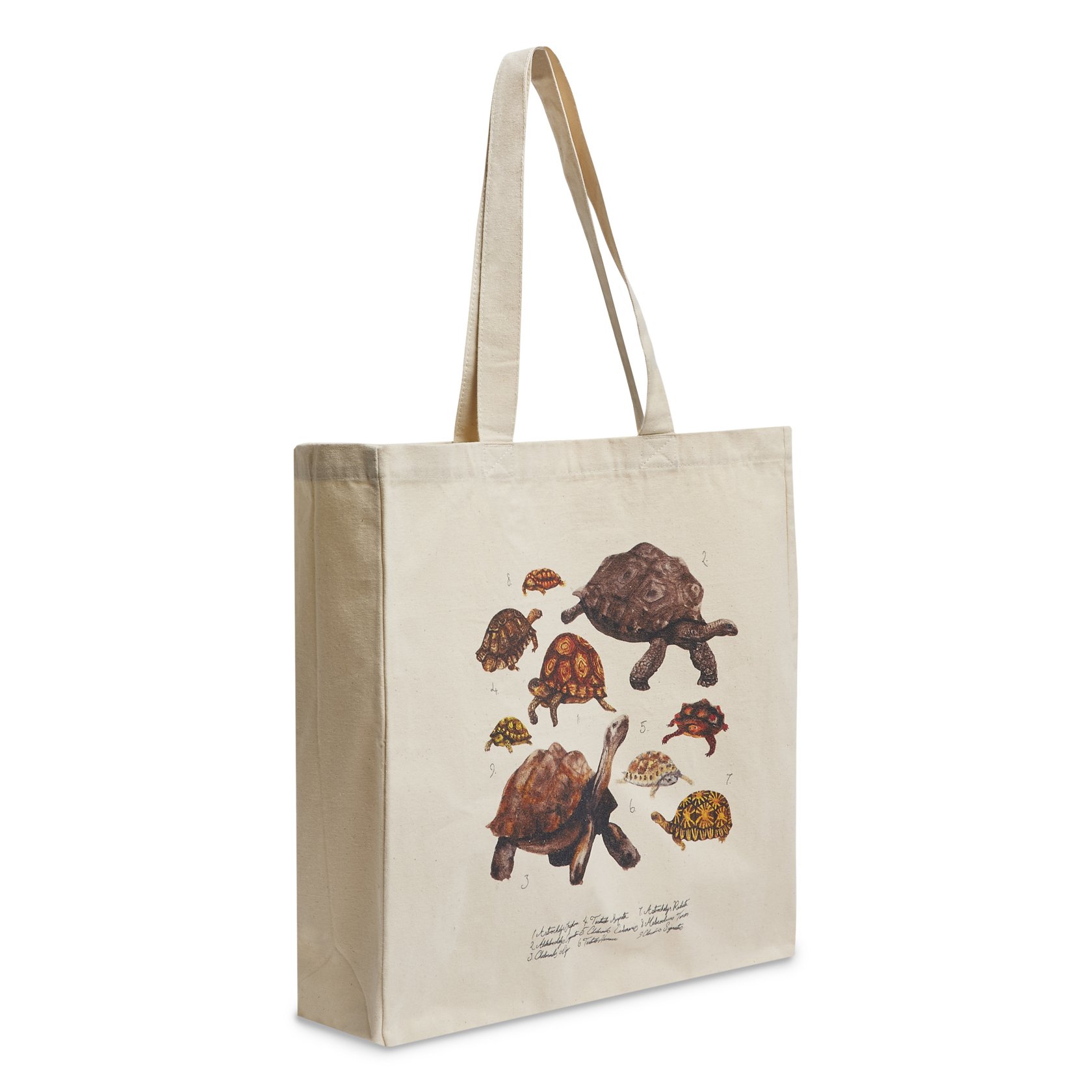 Creep of Tortoises Tote Bag
