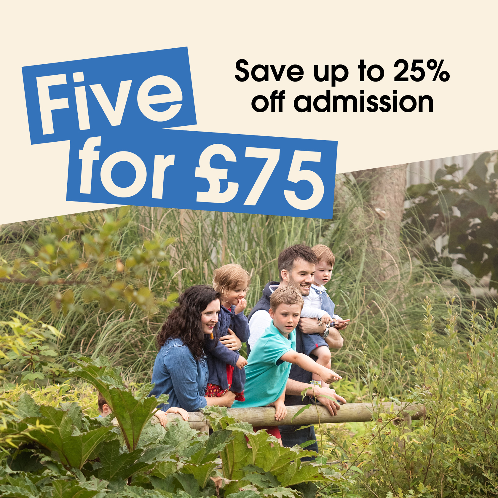 5 For £75 2026 Offer Website Graphics 2000X2000