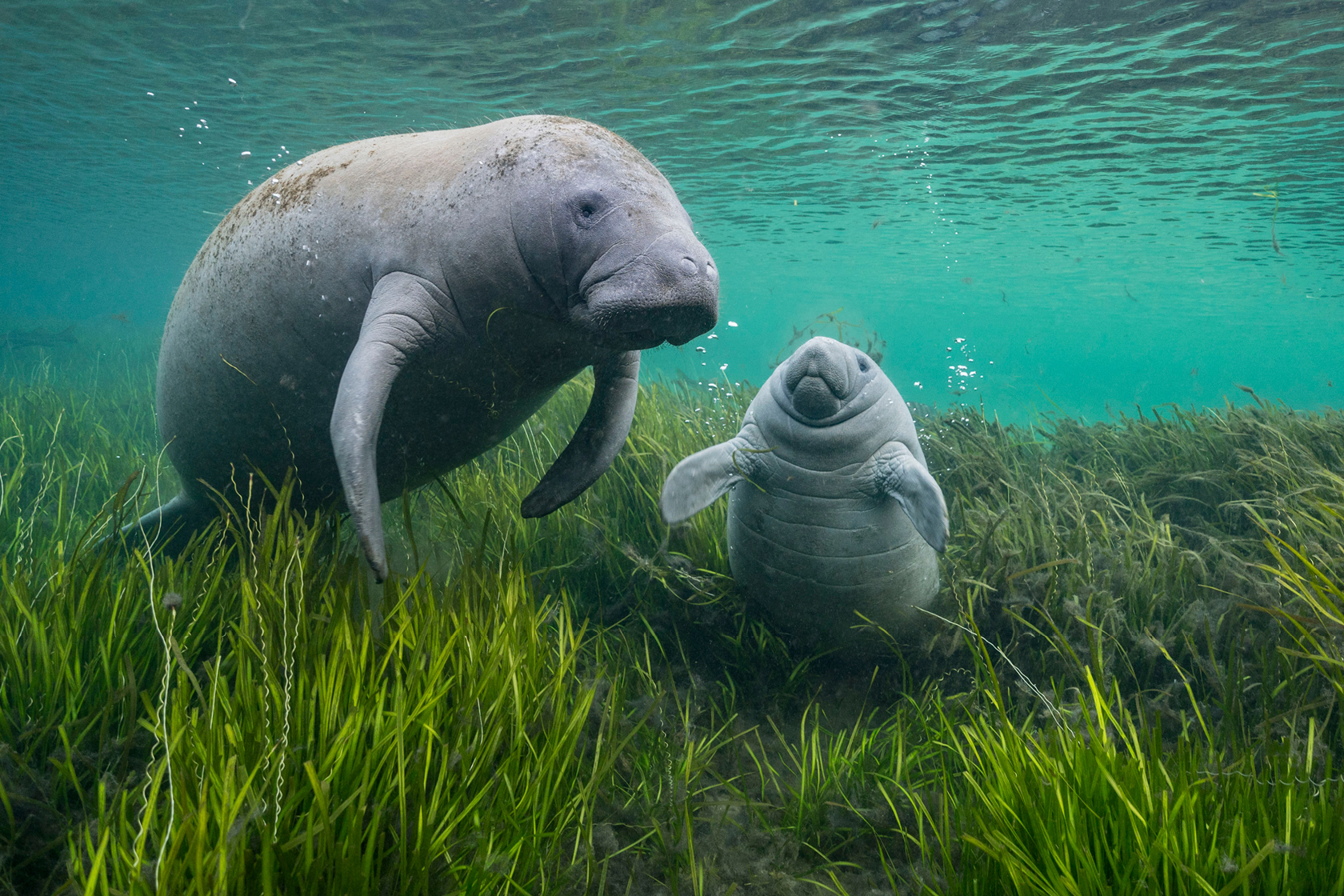 5465 WPY60 Website Image 2000X1333 AW 04 Ext