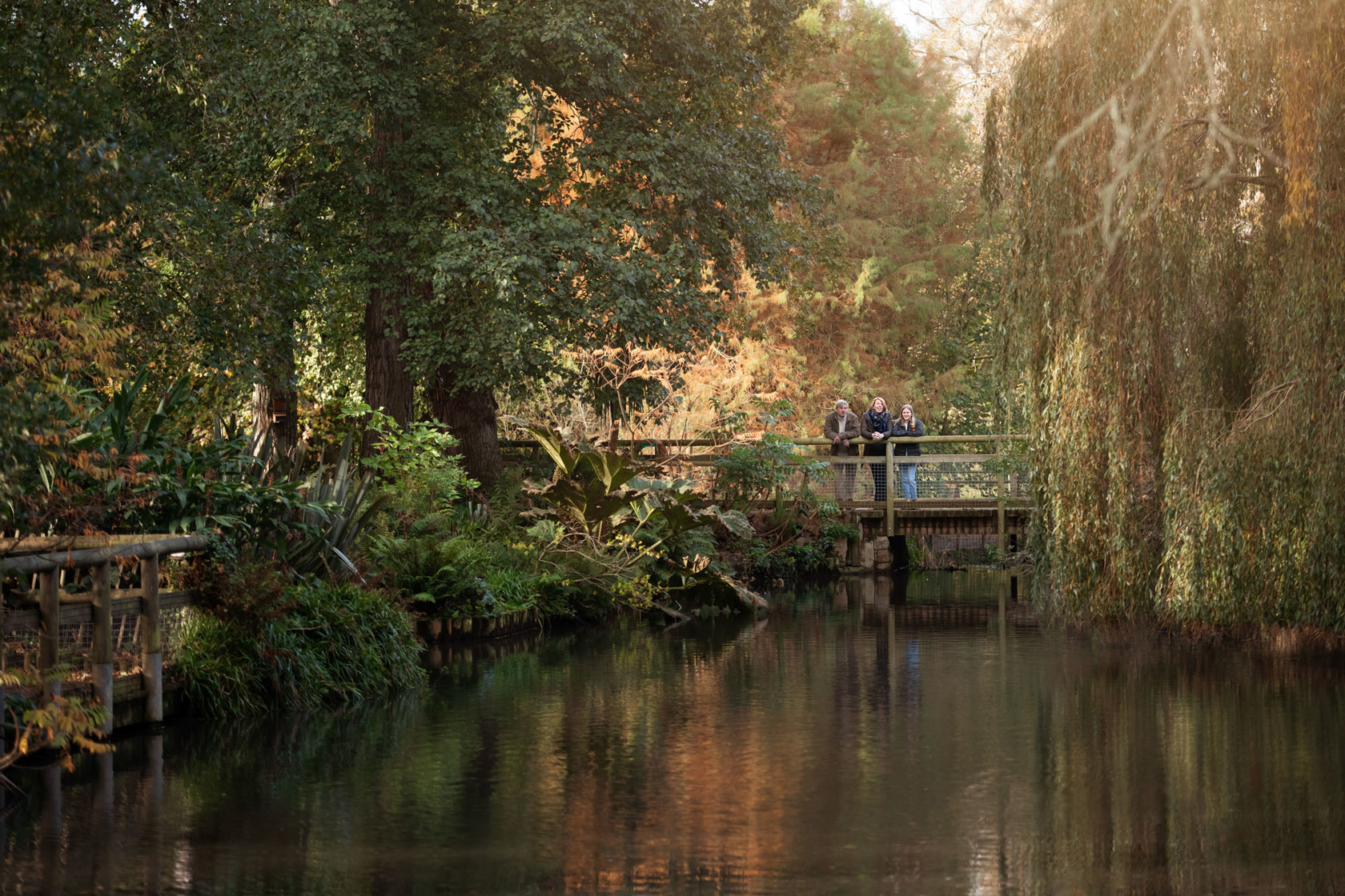 Three Jersey Zoo guests stand on a bridge with a pond in the foreground