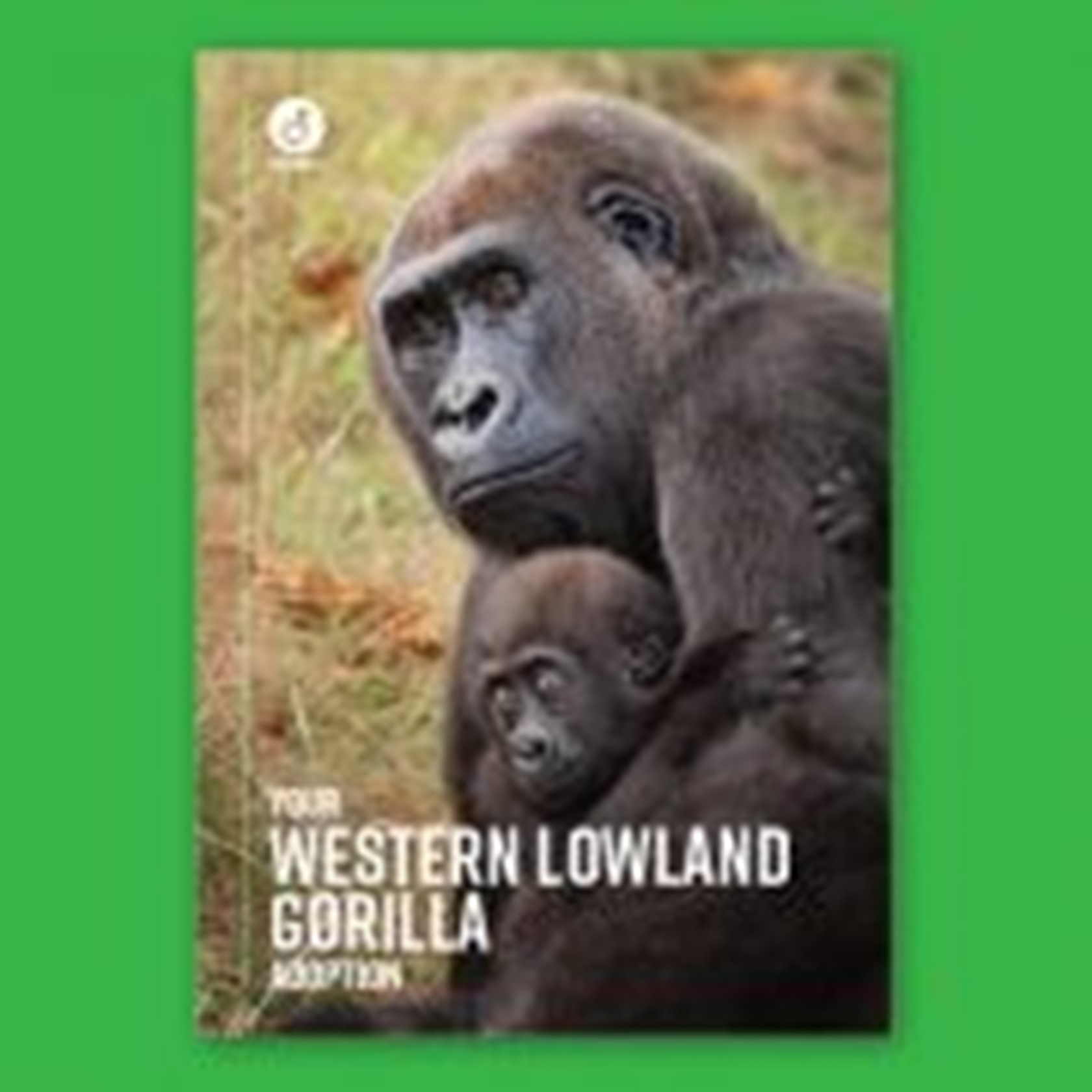 Digital Adoption - Western lowland gorillas