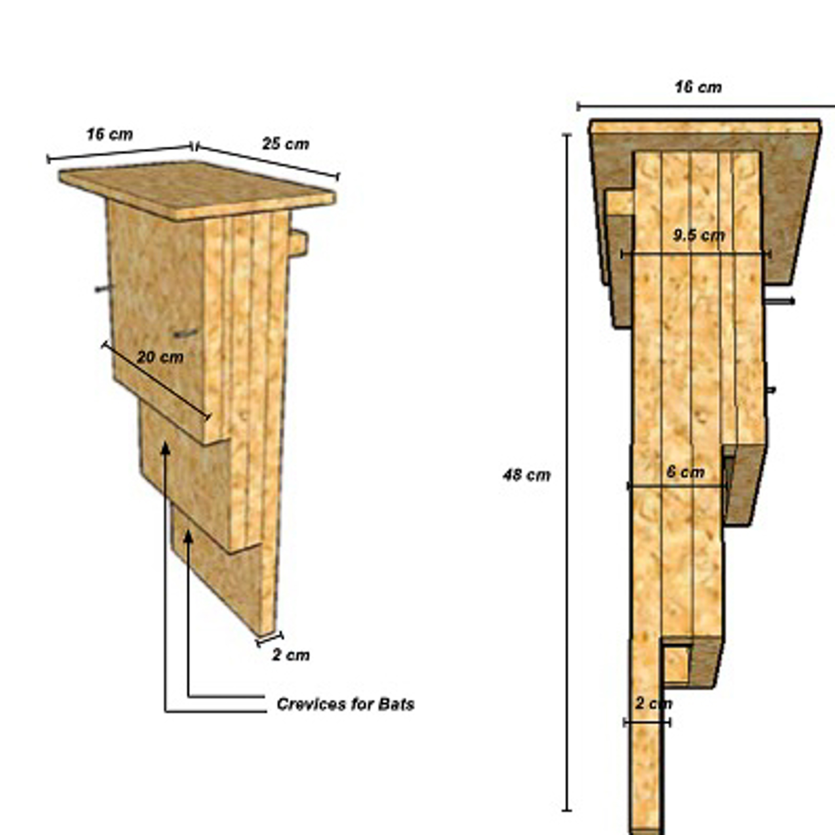 Kent Bat Box 3