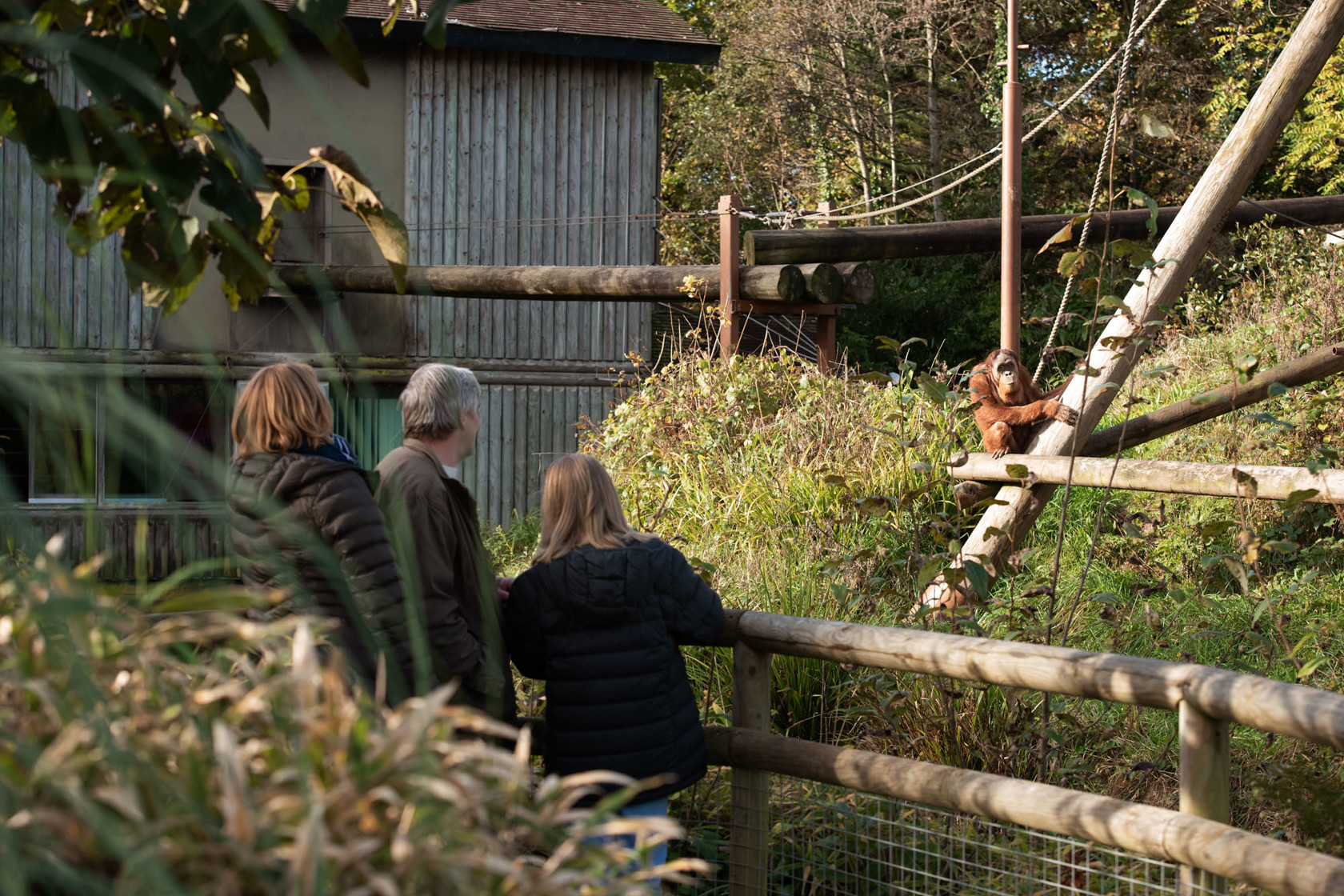 Zoo Visitors 2021 07