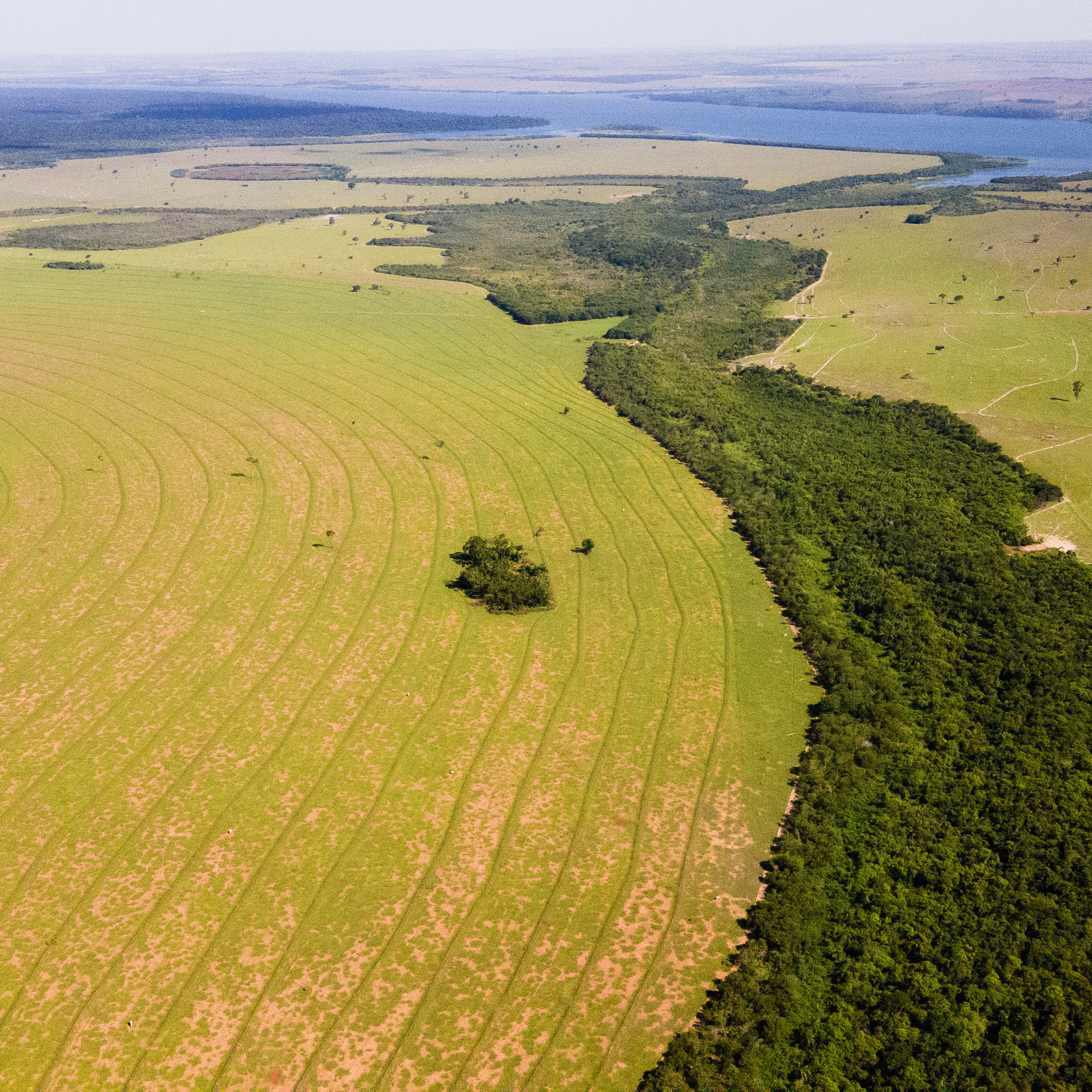 CREDIT IPE Forest Corridors