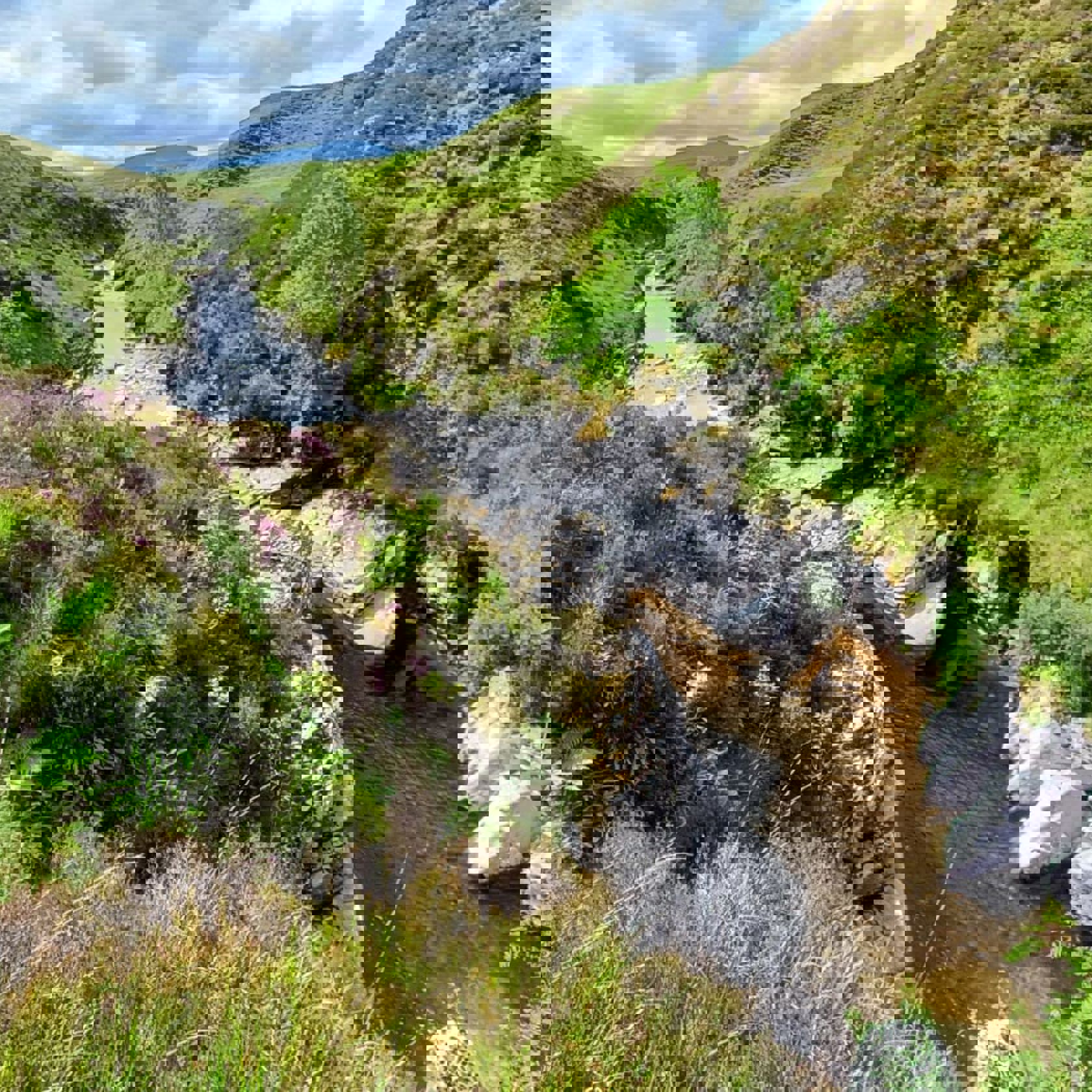 Seed Source Along Edendon