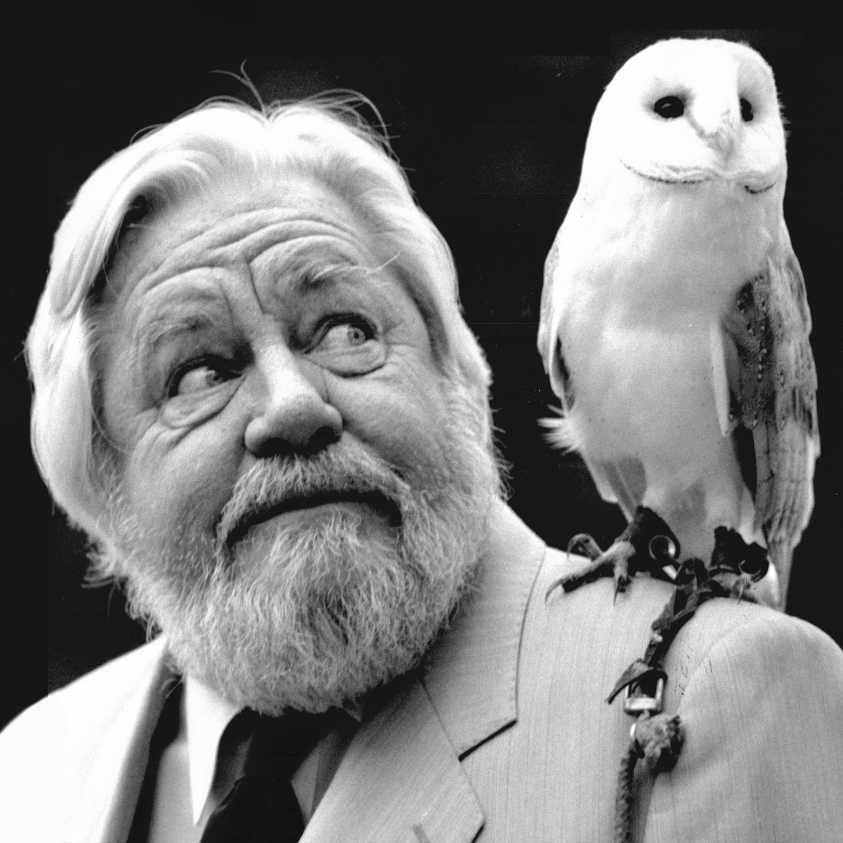 5352 Myself And Other Animals Social