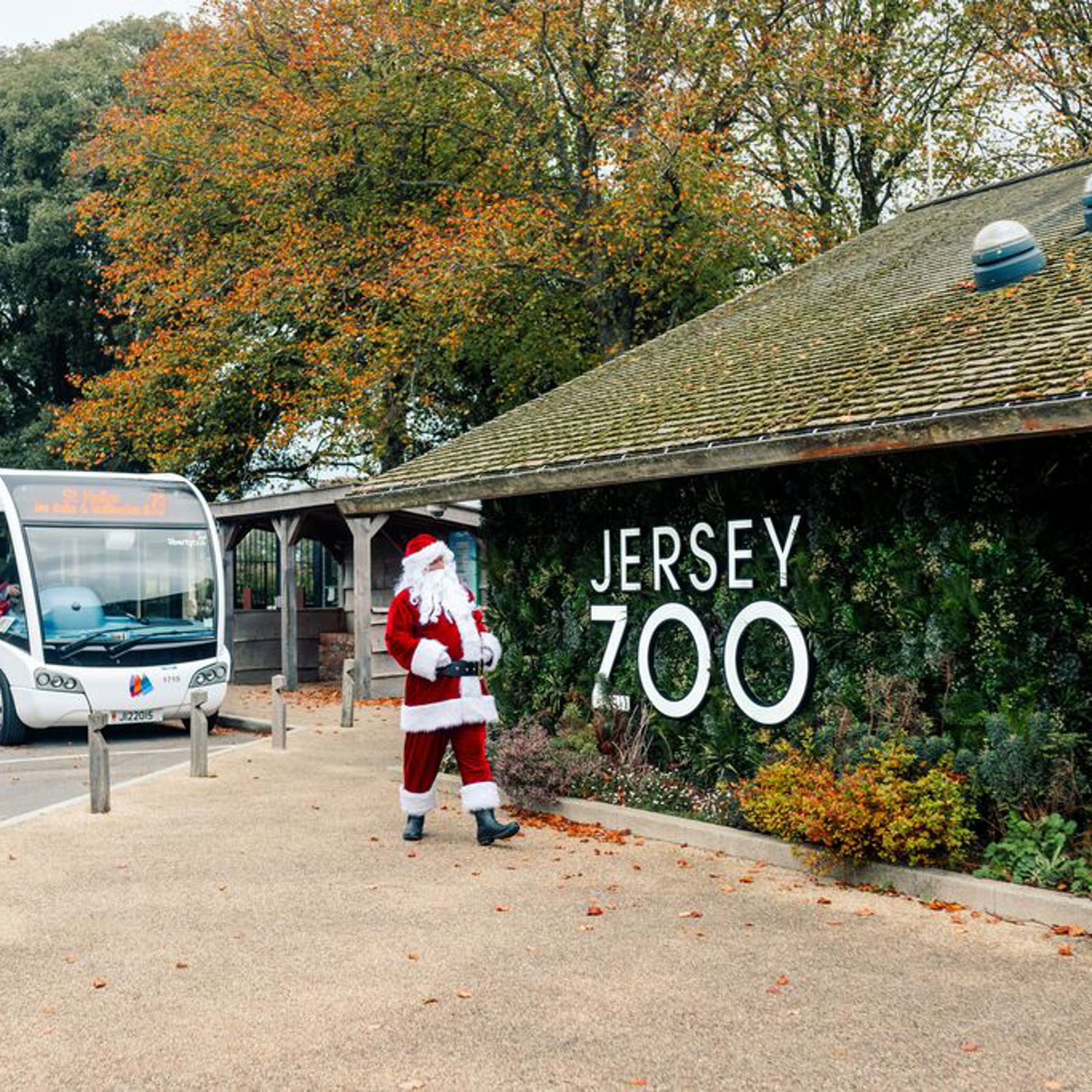Medium VJXMAS 39
