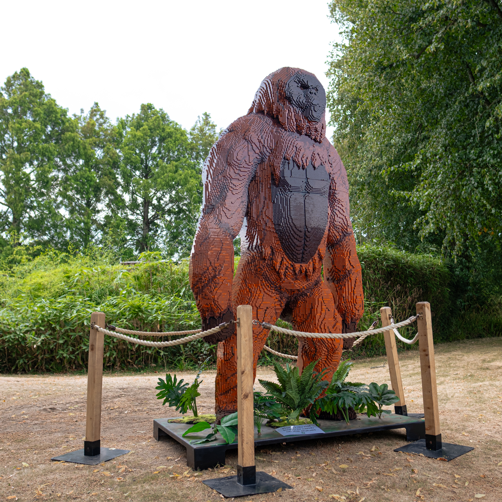 Big Foot