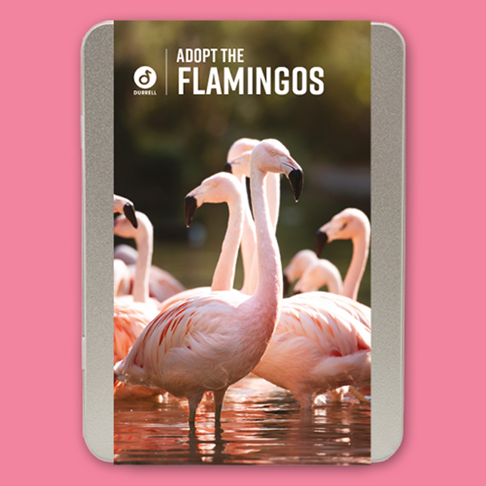 Adoption Tin Flamingo