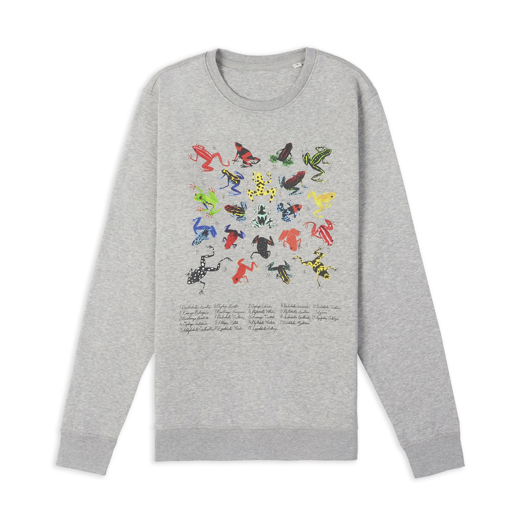 Dart Frog Sweatshirt