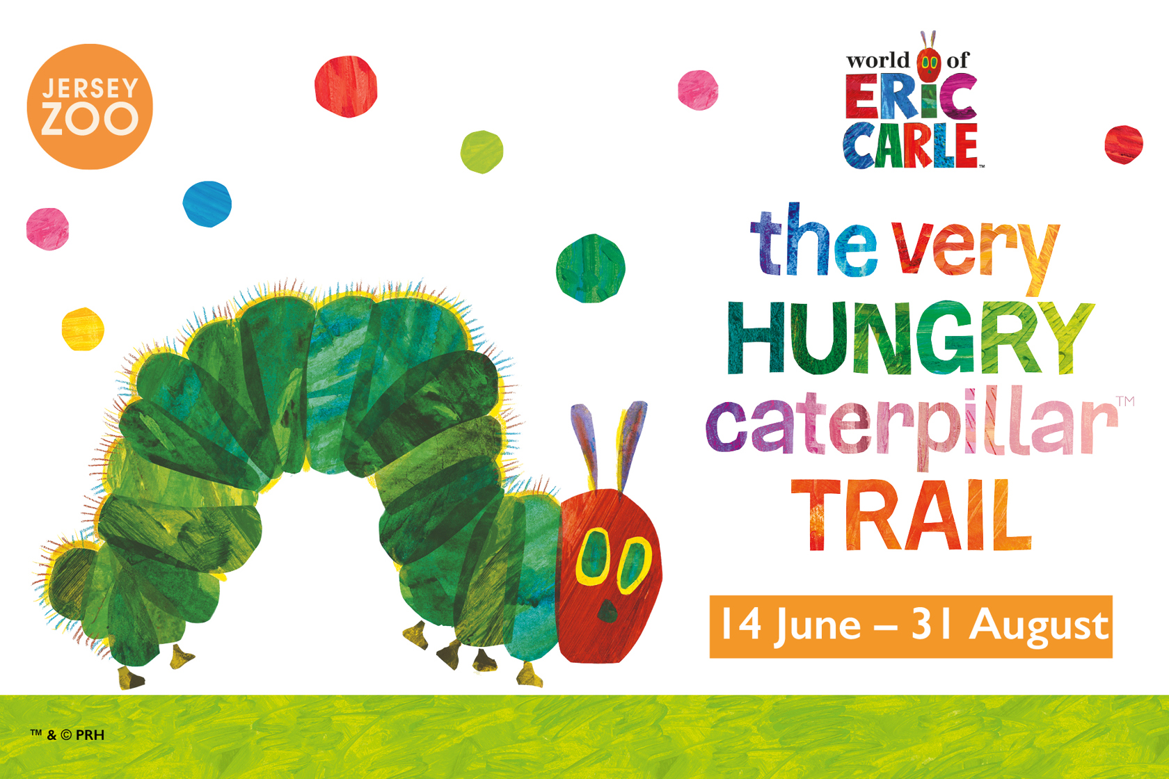 VHC Website Image 2000X1333