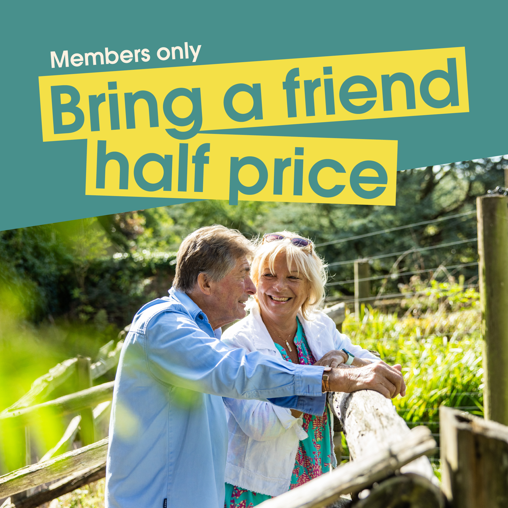 Bring A Friend Offer Graphics 2000 X 2000