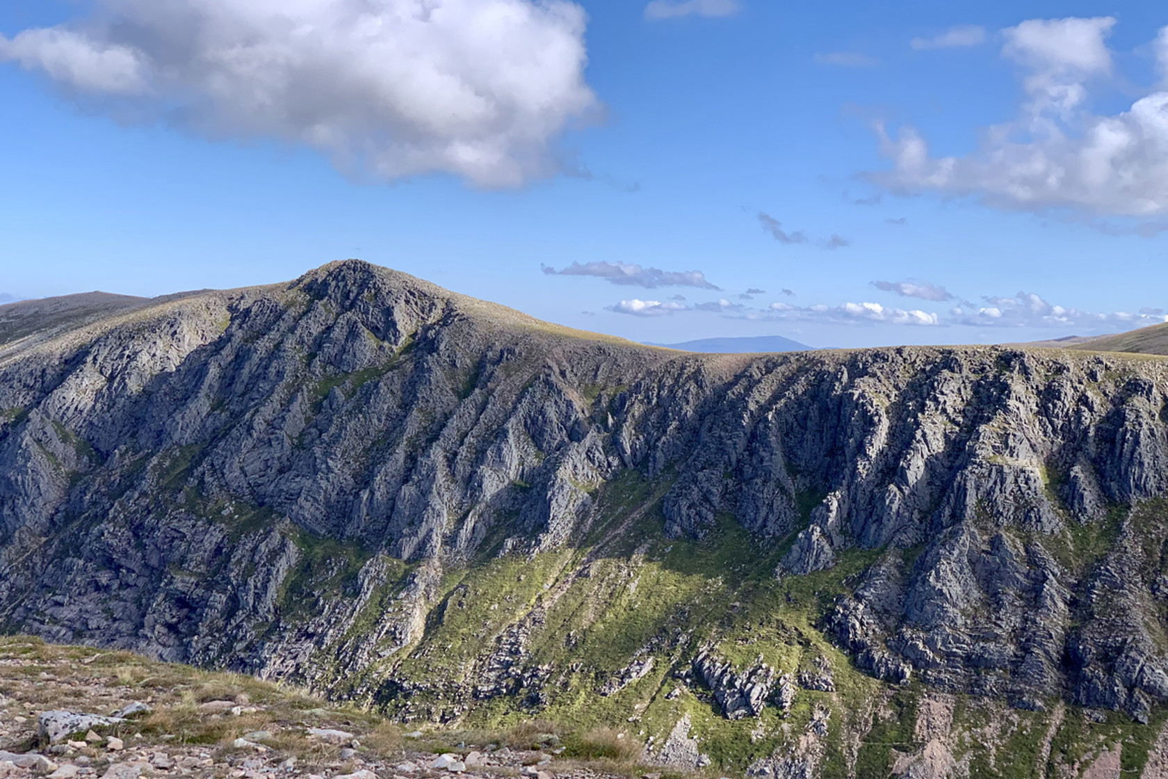 Umbraco.Cms.Core.Models.MediaWithCrops`1[Website.Models.Image]