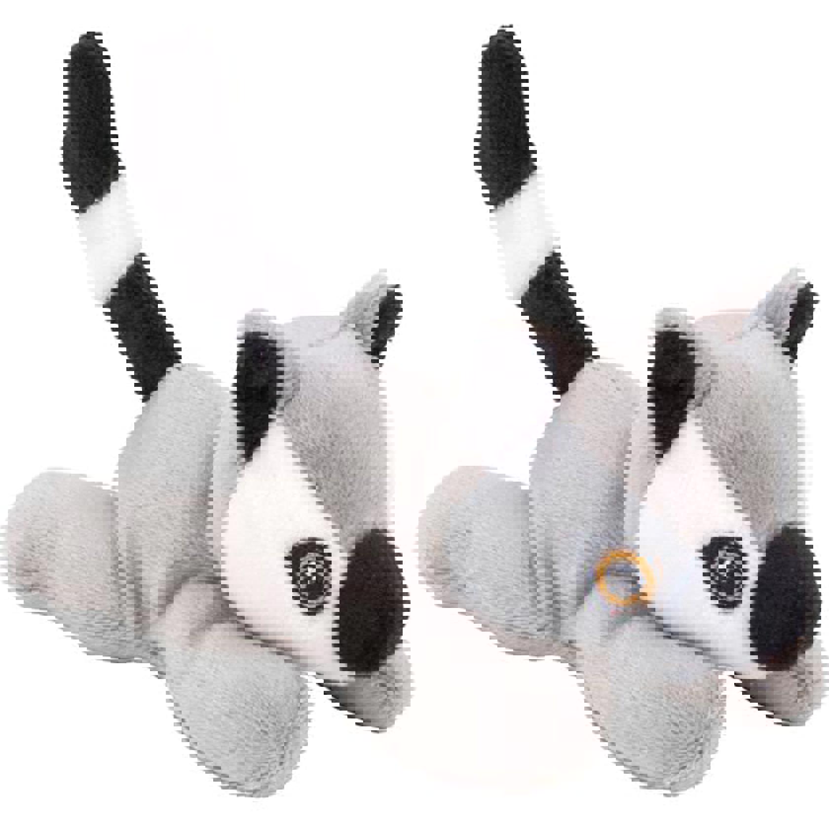 Wild Beans Ring Tailed Lemur